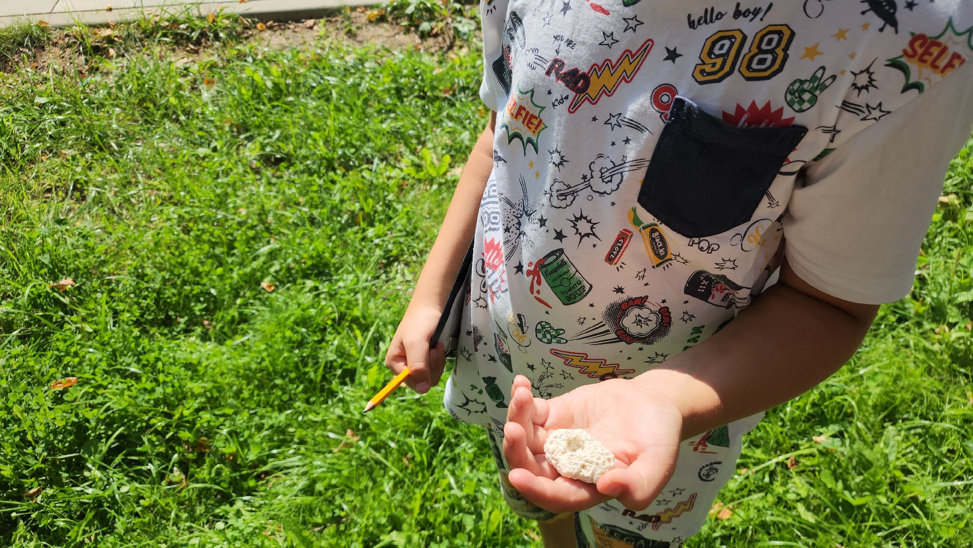 ступино, лето в подмосковье, образование,