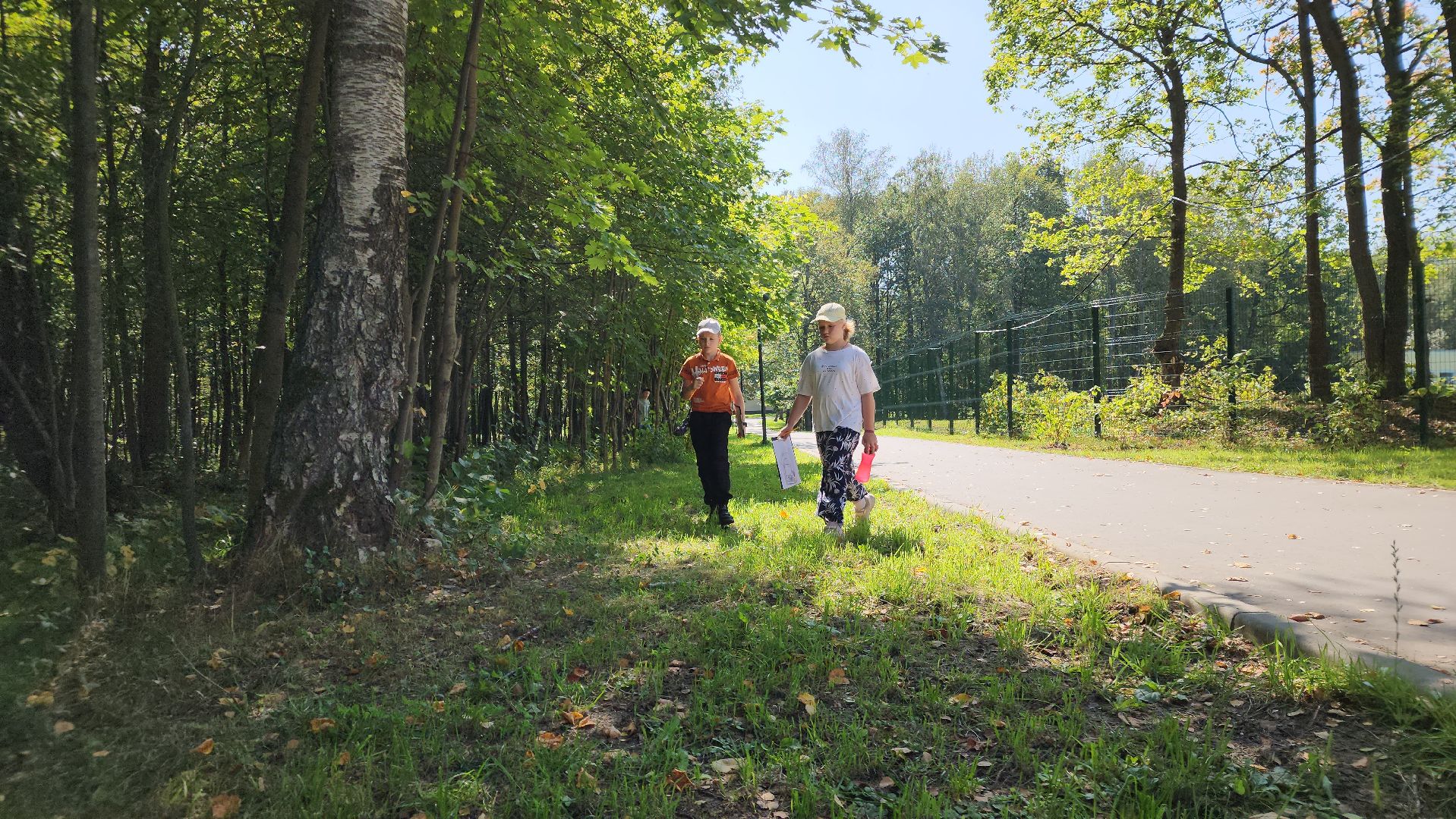 ступино, лето в подмосковье, образование,