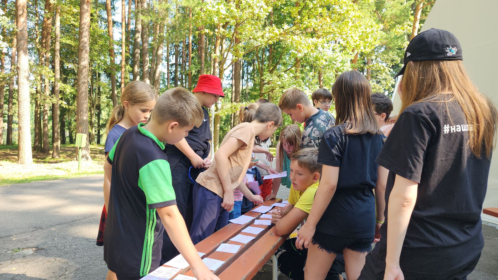 Роспотребнадзор, детский лагерь,Санпросвет, Ногинск, Богородский городской округ,