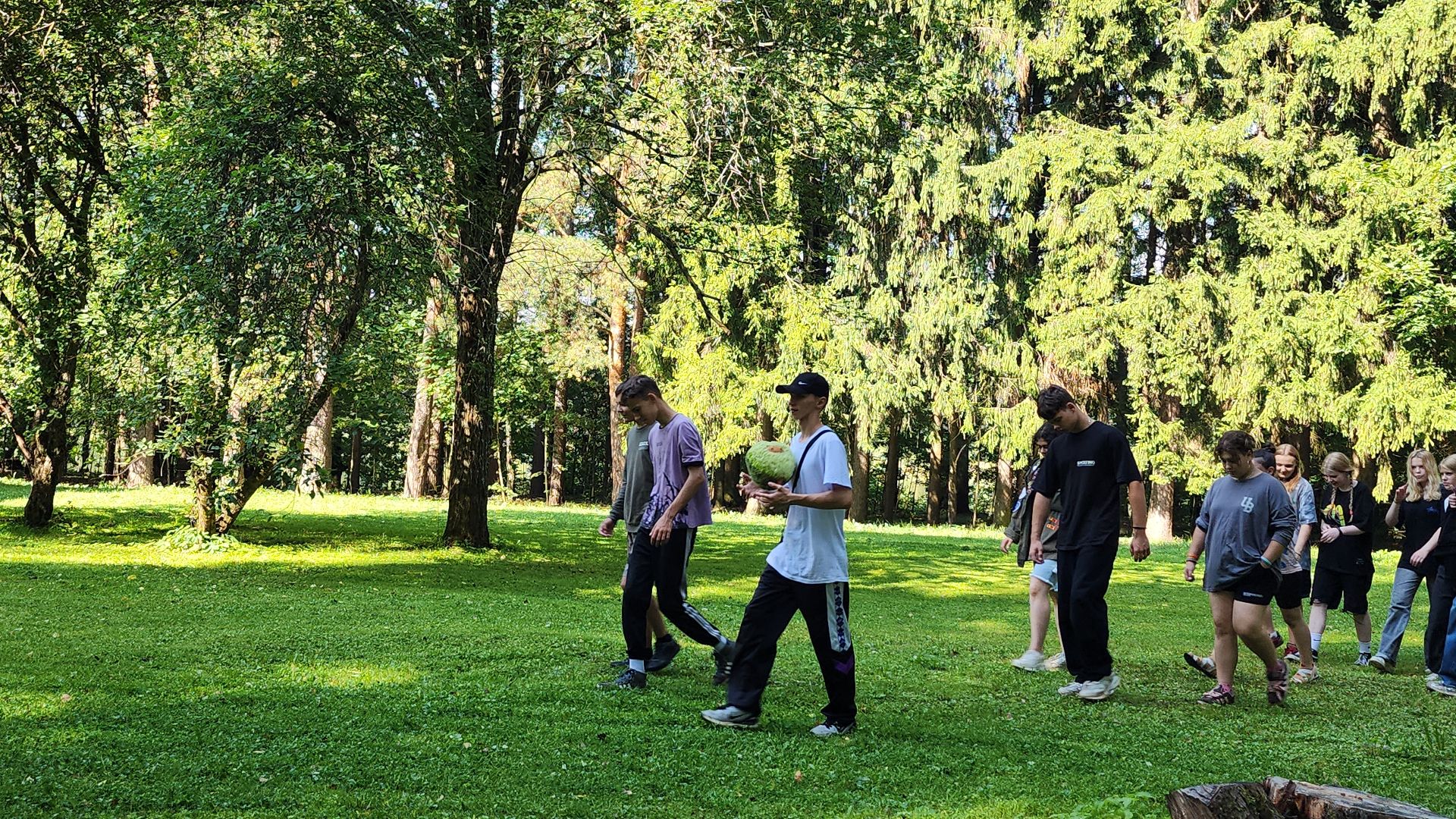 Роспотребнадзор, детский лагерь,Санпросвет, Ногинск, Богородский городской округ,