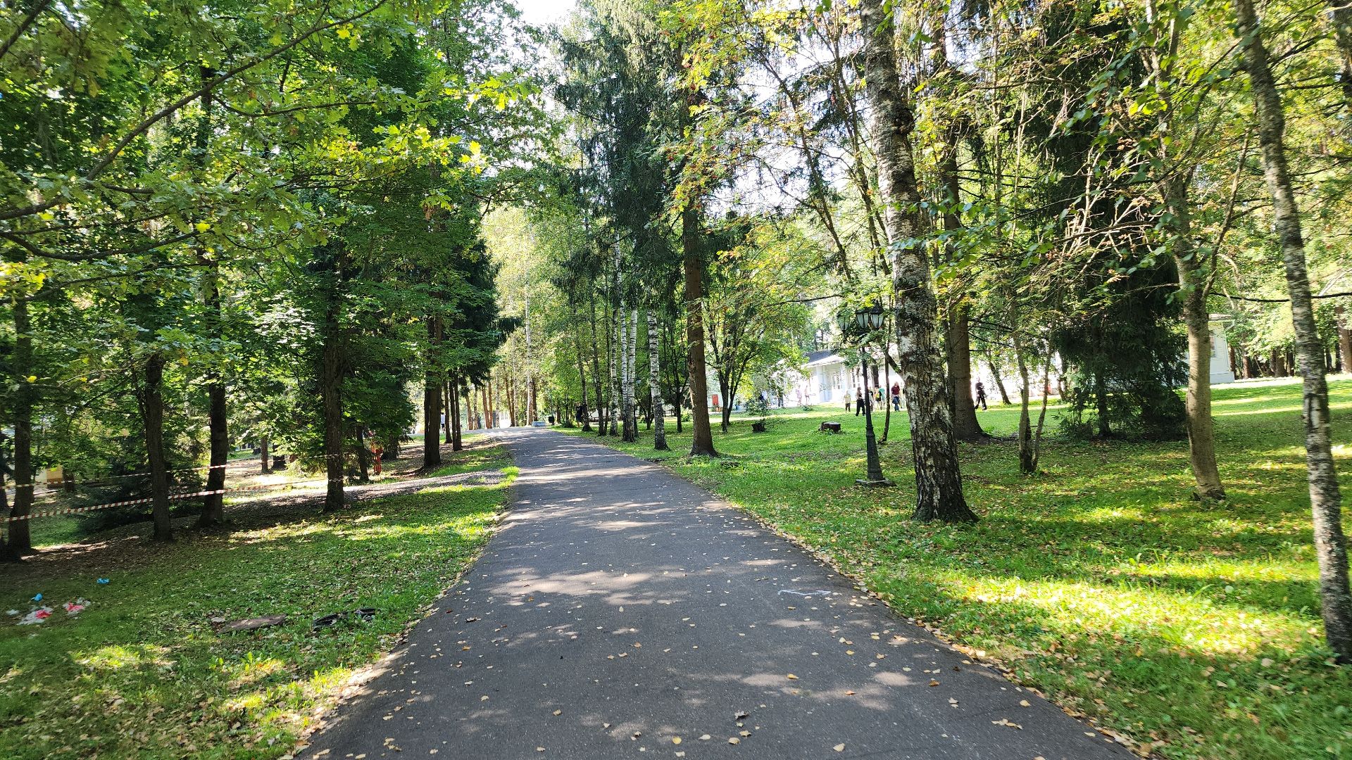 Роспотребнадзор, детский лагерь,Санпросвет, Ногинск, Богородский городской округ,