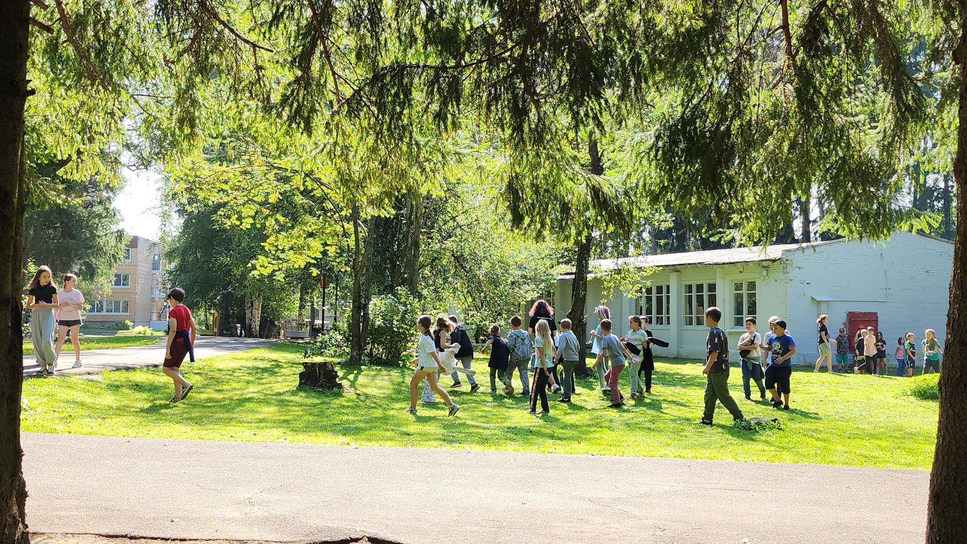 Роспотребнадзор, детский лагерь,Санпросвет, Ногинск, Богородский городской округ,