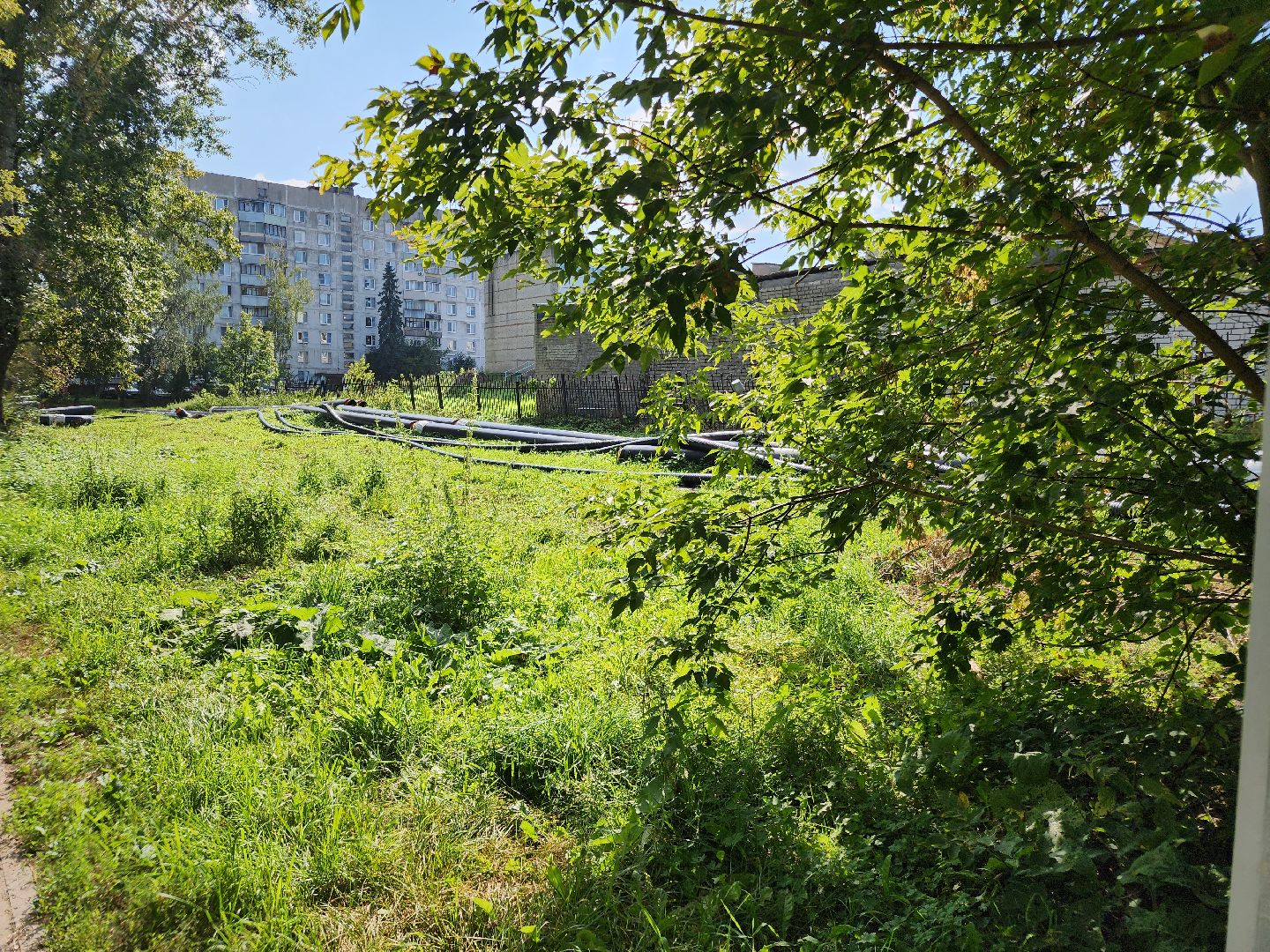 Лиаз парк, благоустройство, ликино-дулево, орехово-зуевский округ,