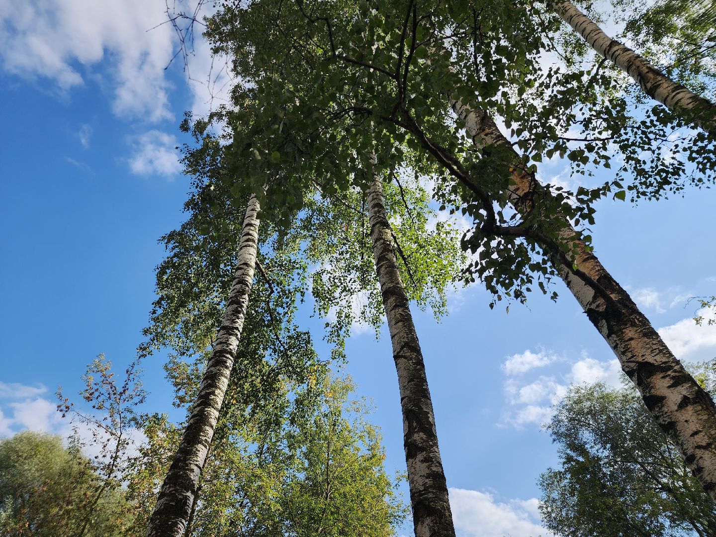 Лиаз парк, благоустройство, ликино-дулево, орехово-зуевский округ,