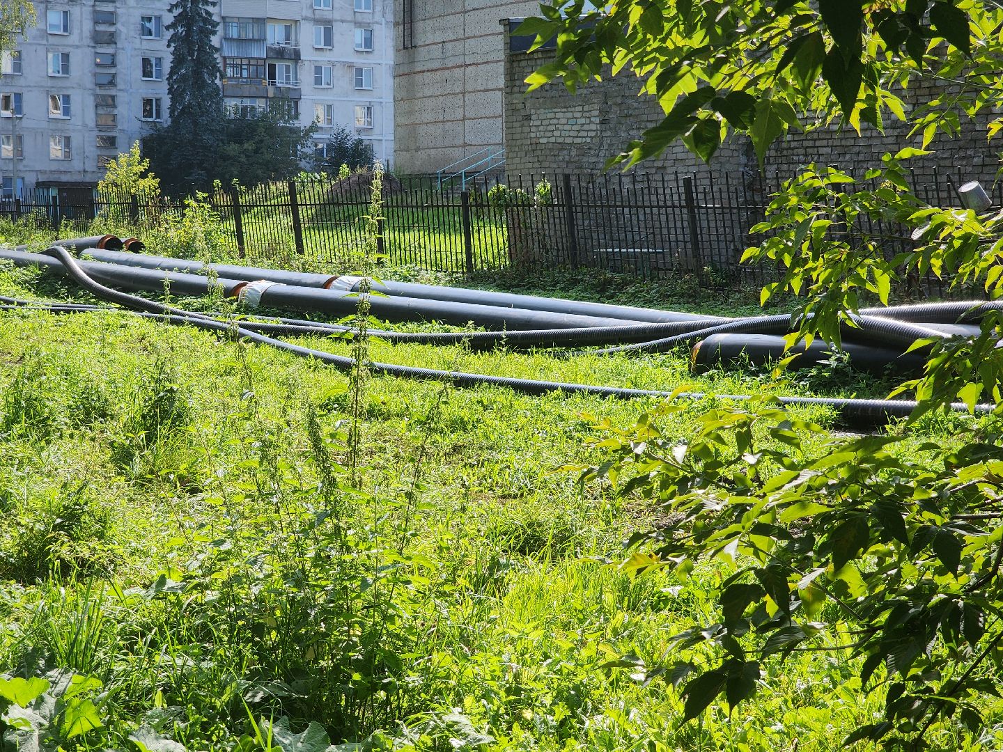 Лиаз парк, благоустройство, ликино-дулево, орехово-зуевский округ,