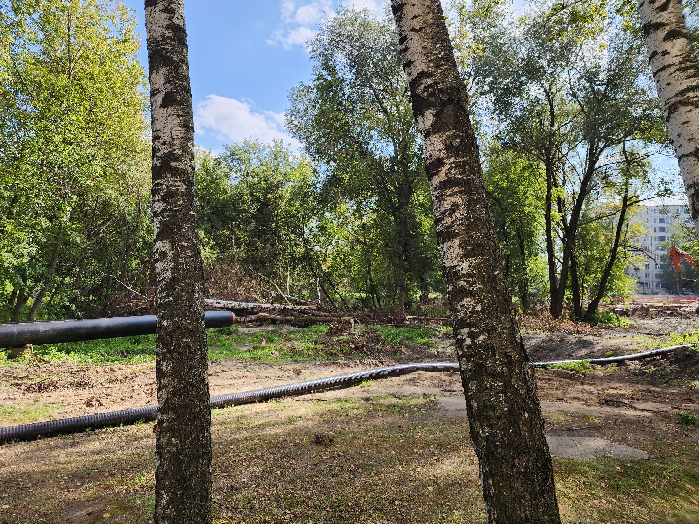 Лиаз парк, благоустройство, ликино-дулево, орехово-зуевский округ,