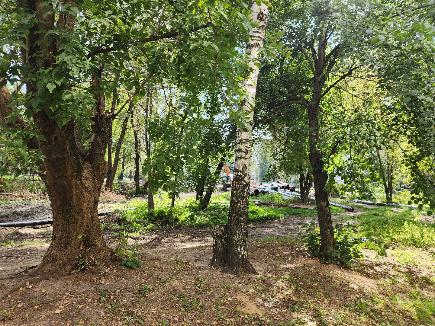 Лиаз парк, благоустройство, ликино-дулево, орехово-зуевский округ,