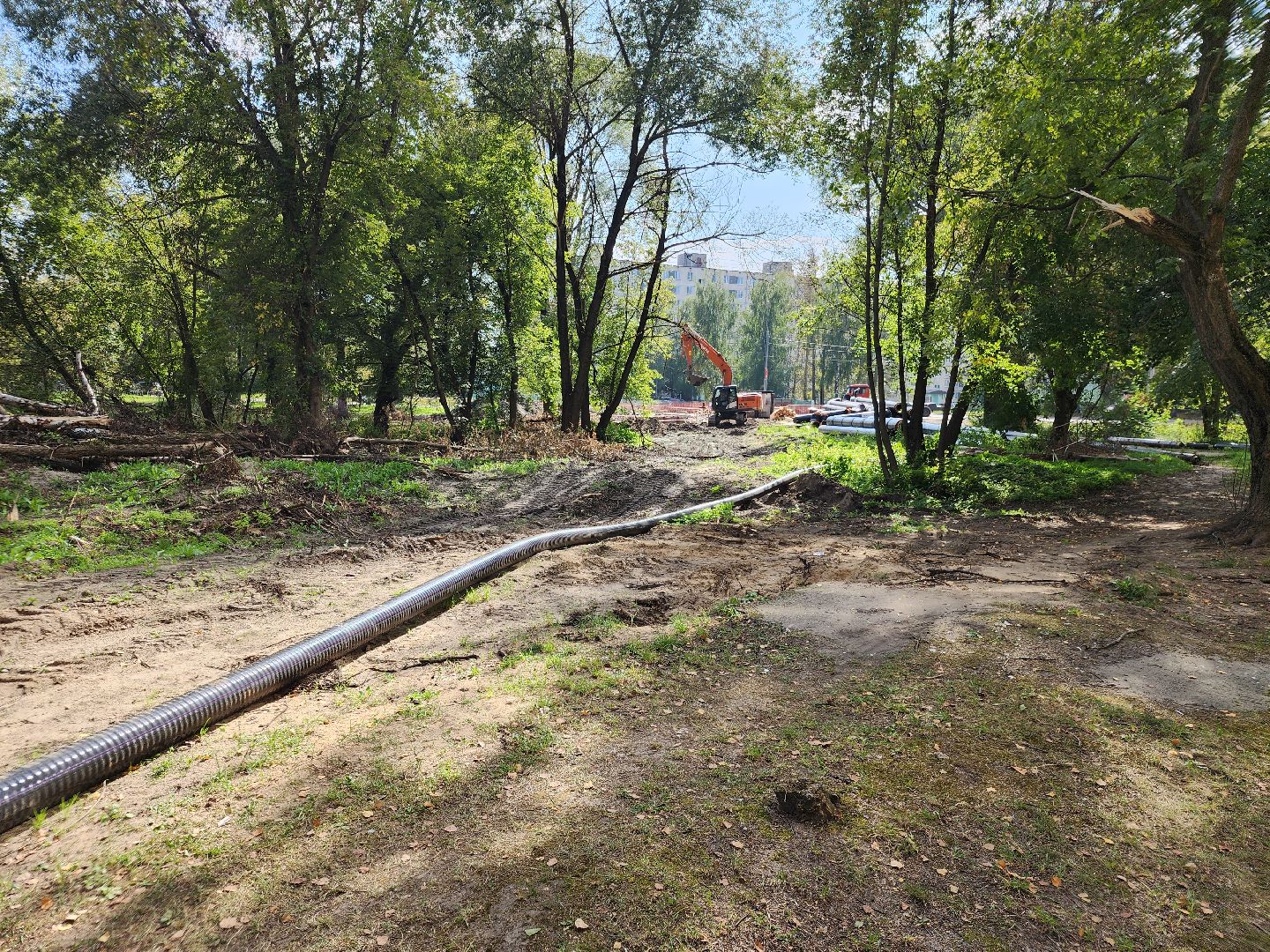 Лиаз парк, благоустройство, ликино-дулево, орехово-зуевский округ,