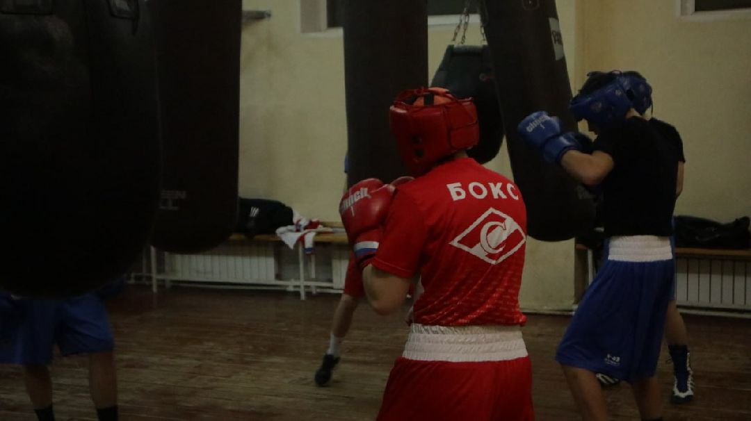 Пущино, бокс, спорт