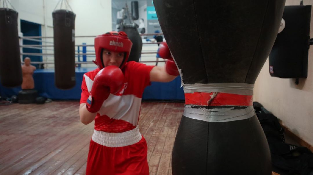 Пущино, бокс, спорт