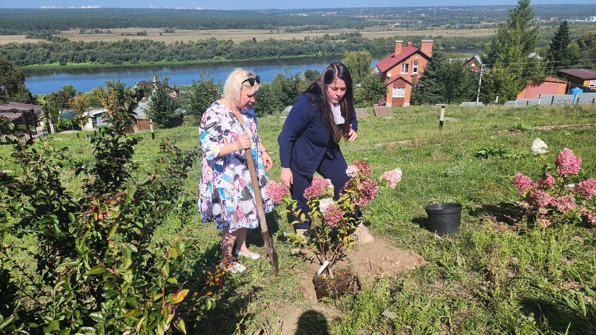 кашира, благоустройство, никитский монастырь, гортензии,