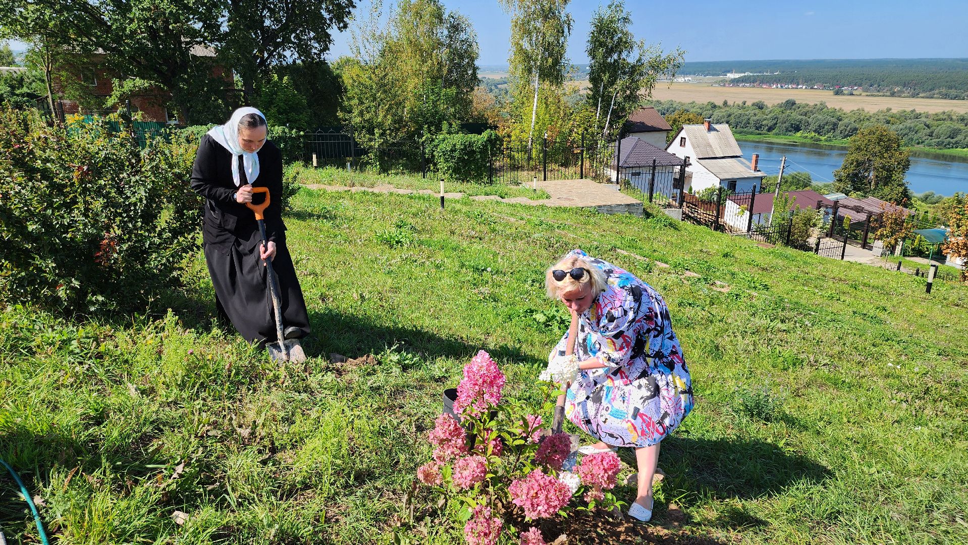 кашира, благоустройство, никитский монастырь, гортензии,