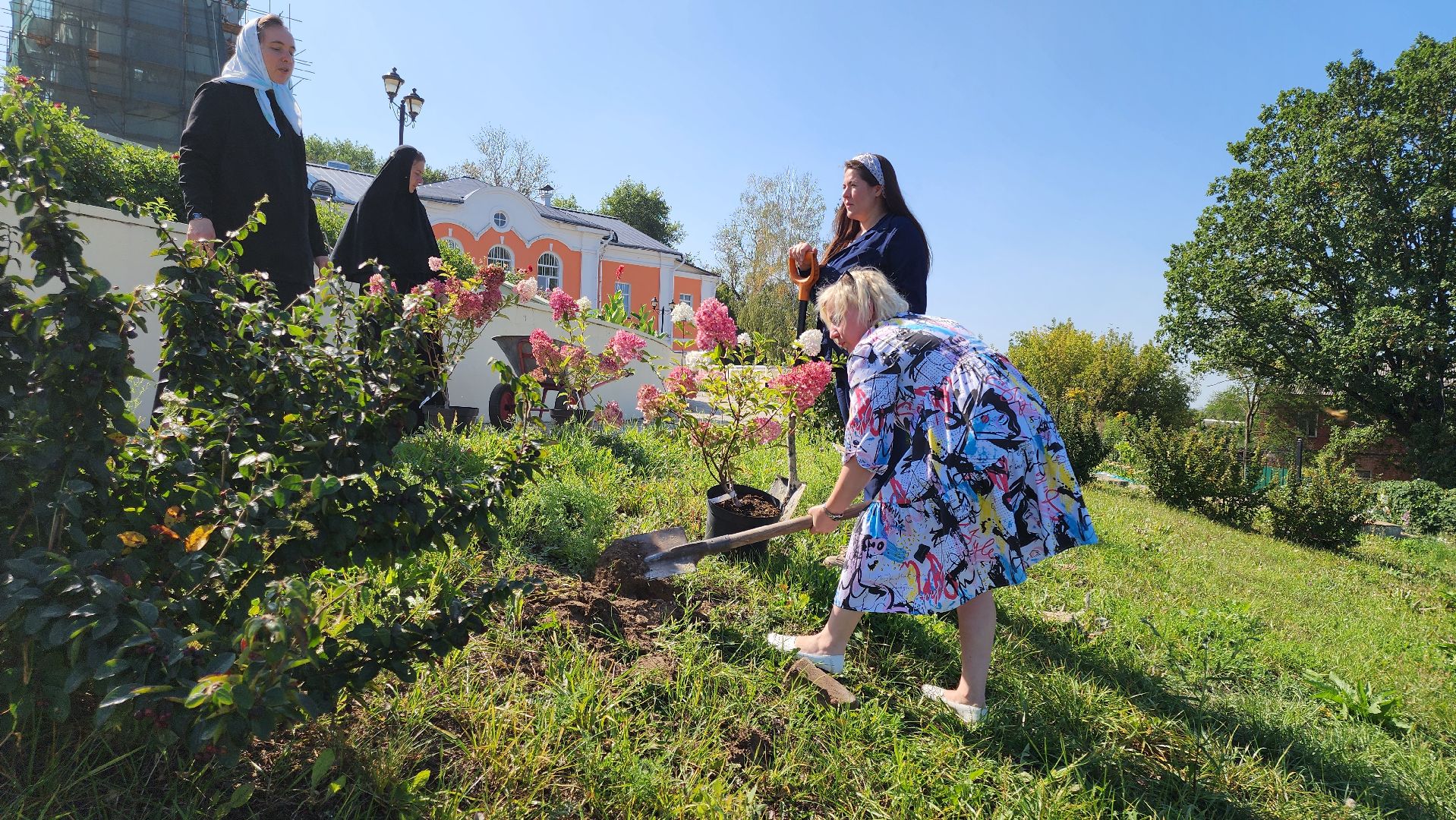 кашира, благоустройство, никитский монастырь, гортензии,