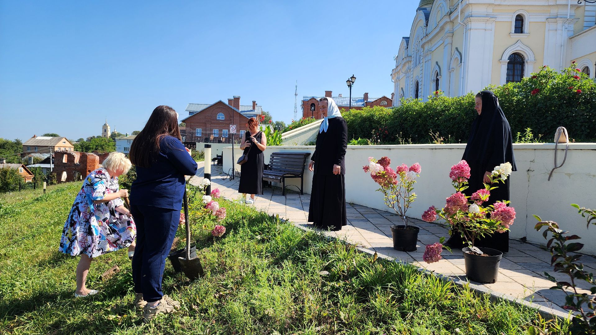 кашира, благоустройство, никитский монастырь, гортензии,
