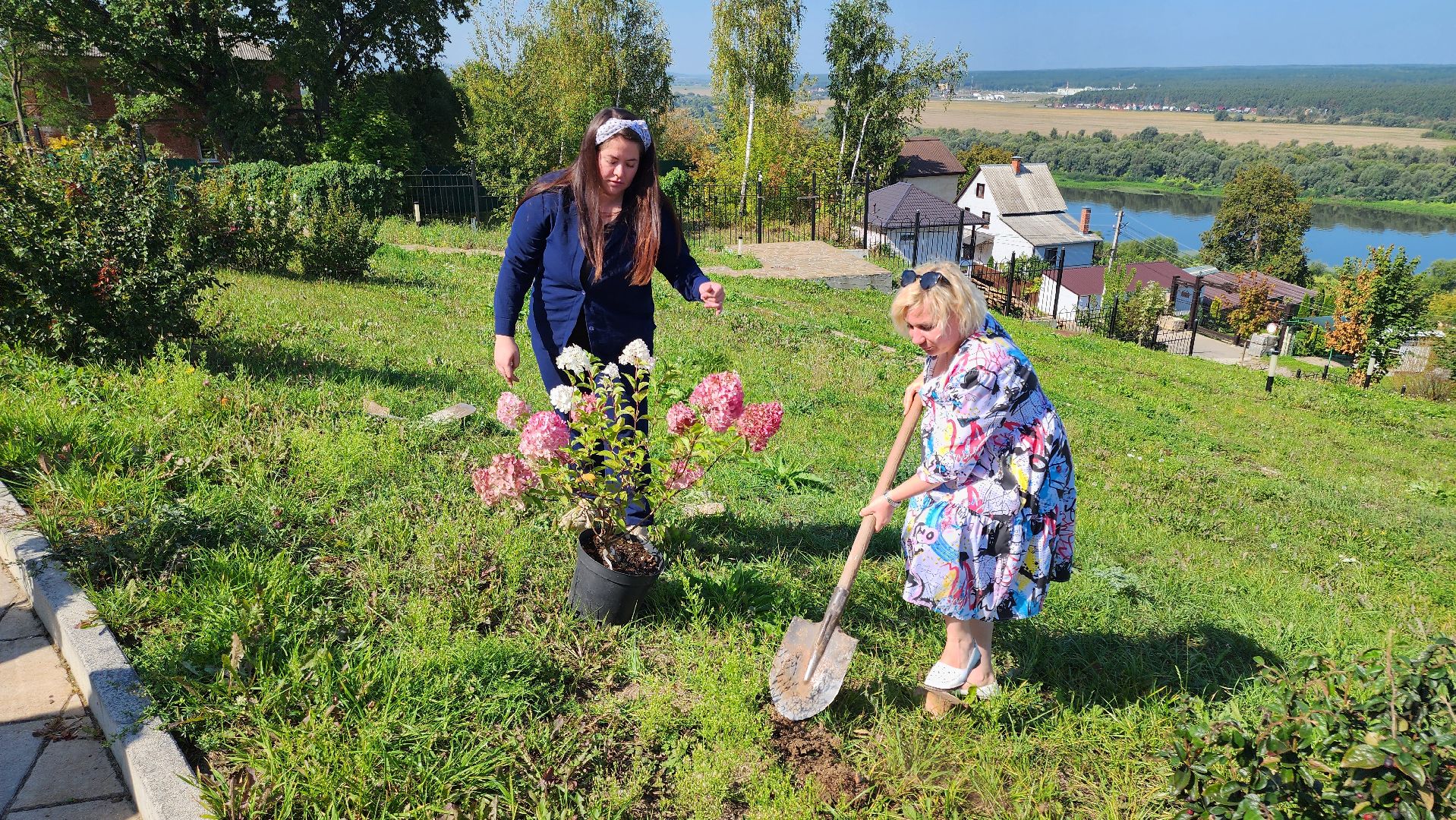 кашира, благоустройство, никитский монастырь, гортензии,