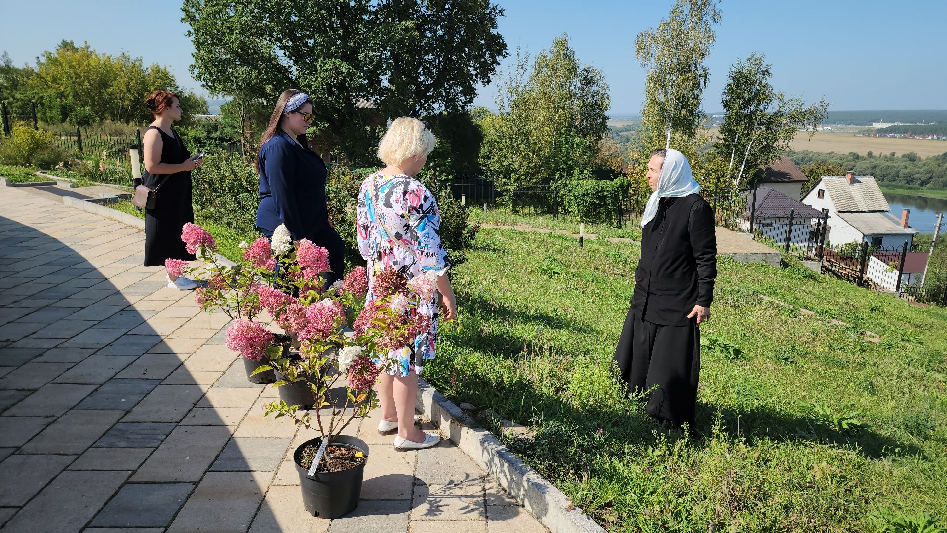 кашира, благоустройство, никитский монастырь, гортензии,