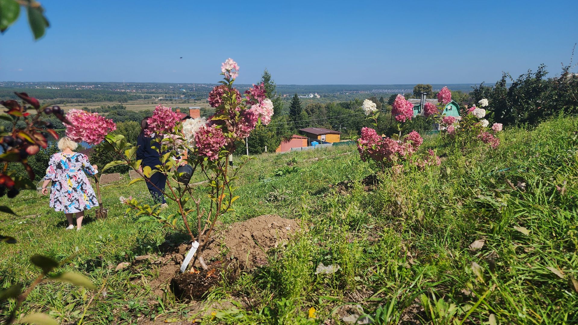 кашира, благоустройство, никитский монастырь, гортензии,