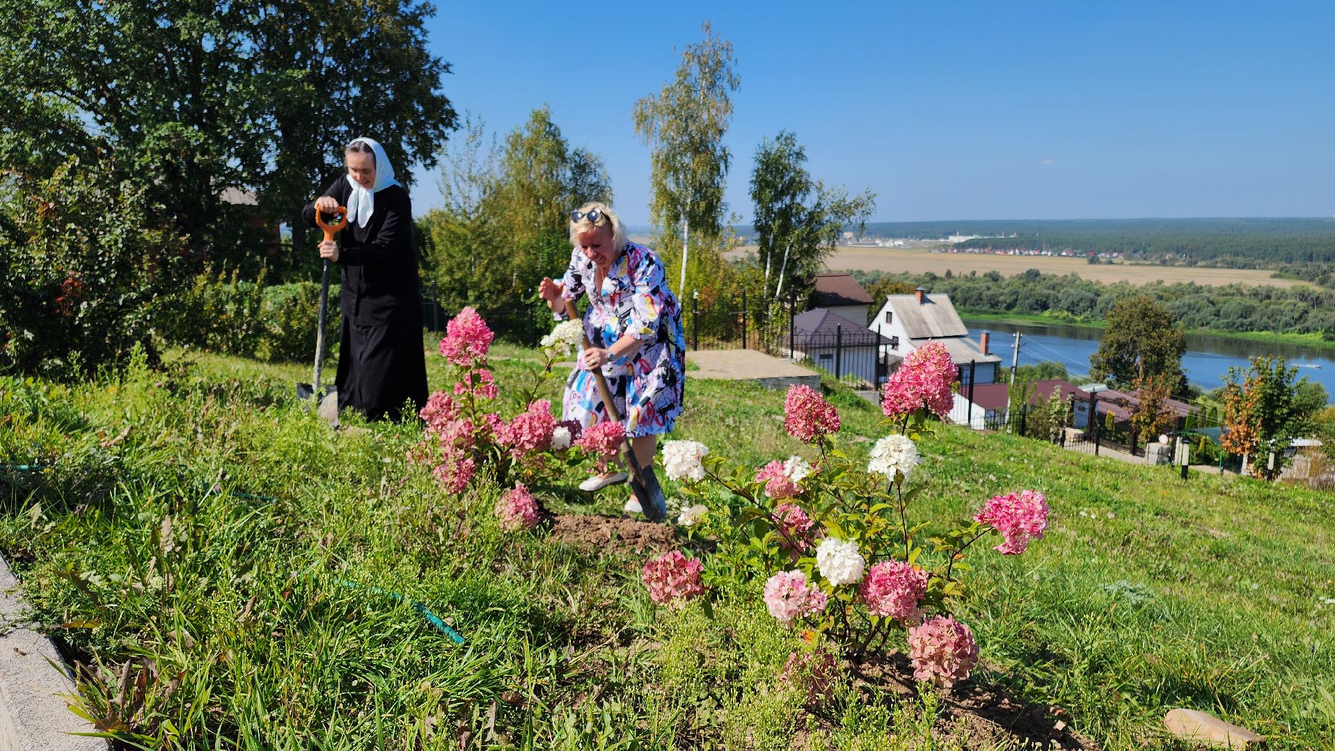 кашира, благоустройство, никитский монастырь, гортензии,