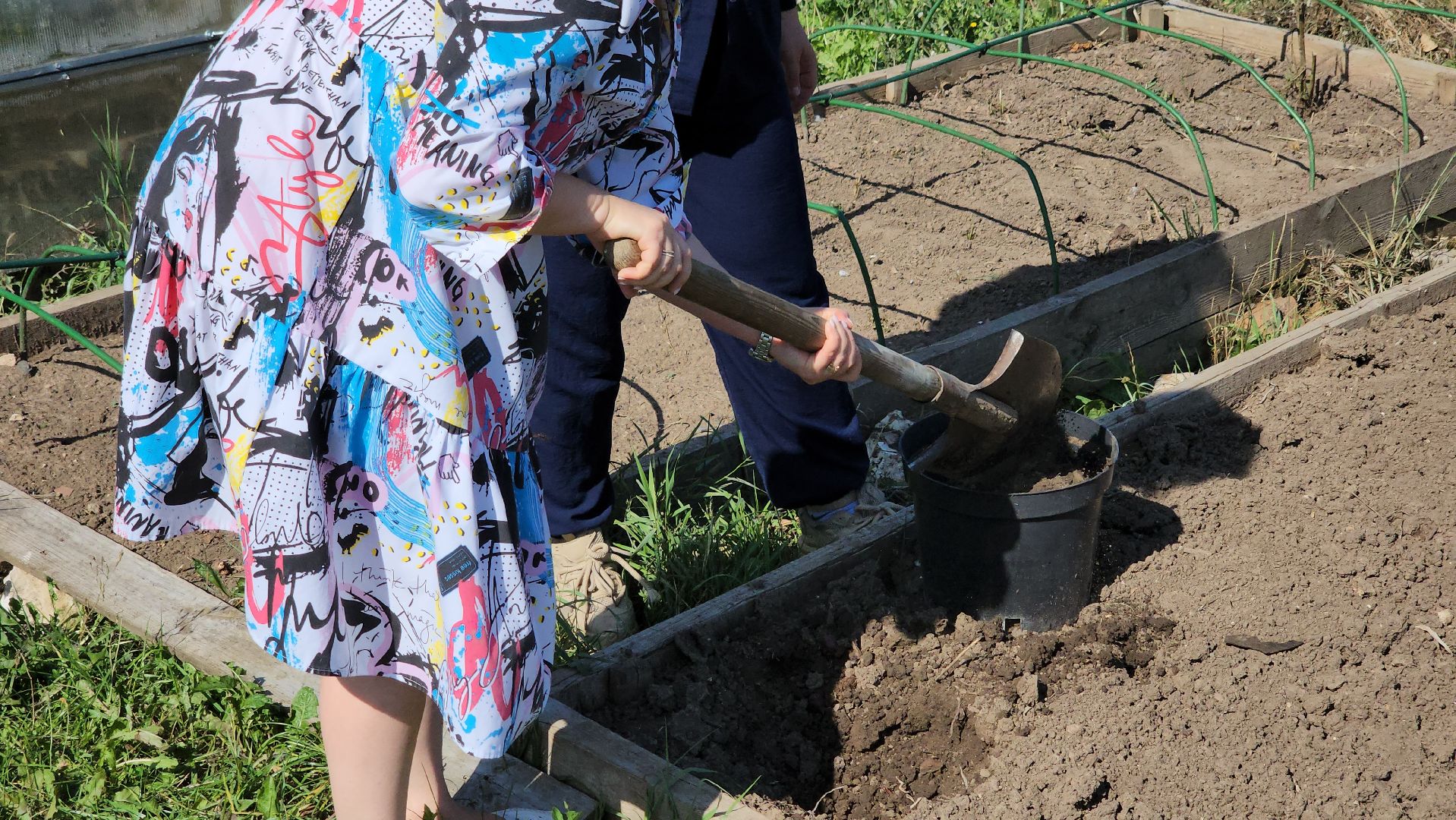 кашира, благоустройство, никитский монастырь, гортензии,