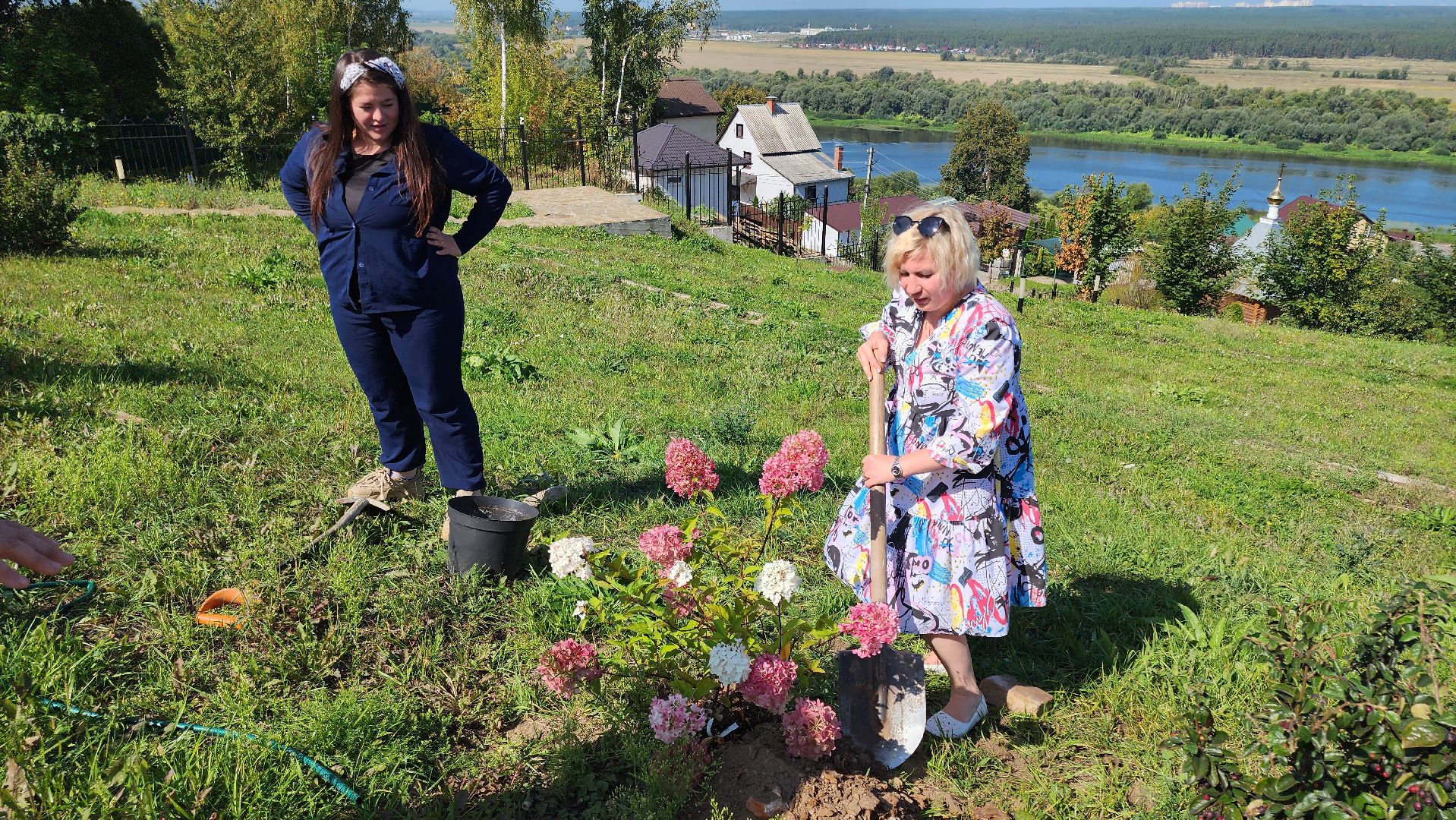 кашира, благоустройство, никитский монастырь, гортензии,