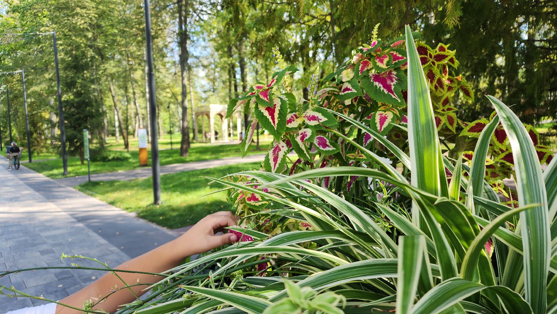 ступино, образование подмосковья, центр островок, дополнительное образование,