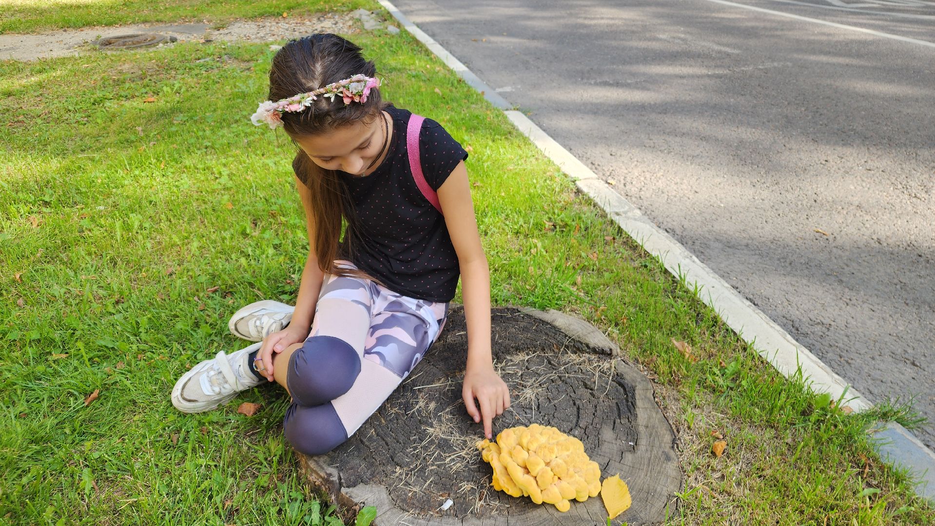 ступино, образование подмосковья, центр островок, дополнительное образование,