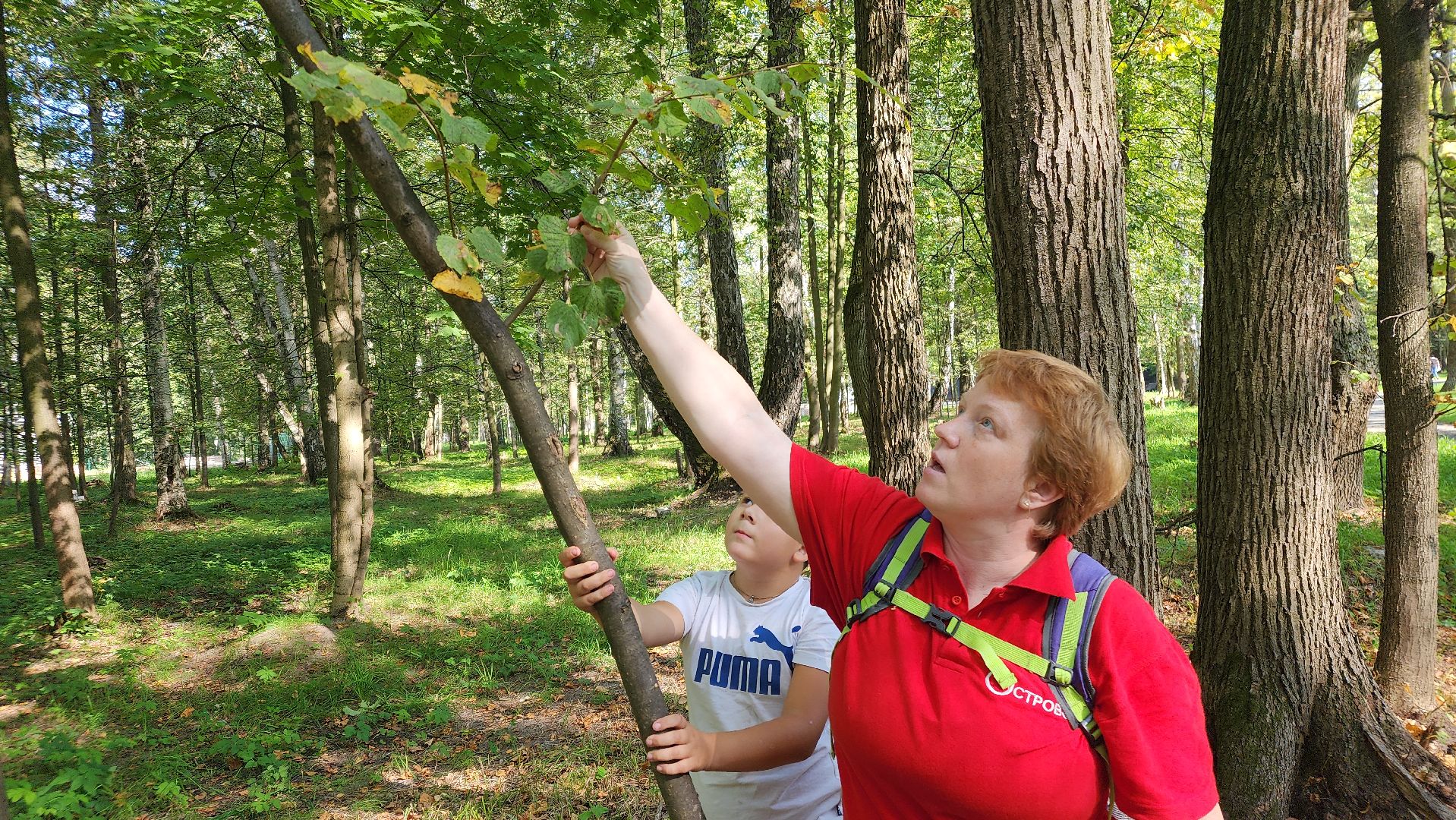 ступино, образование подмосковья, центр островок, дополнительное образование,