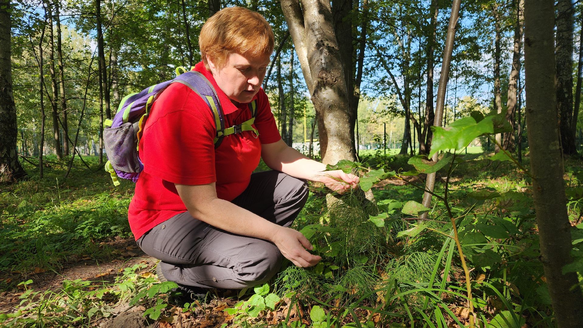 ступино, образование подмосковья, центр островок, дополнительное образование,