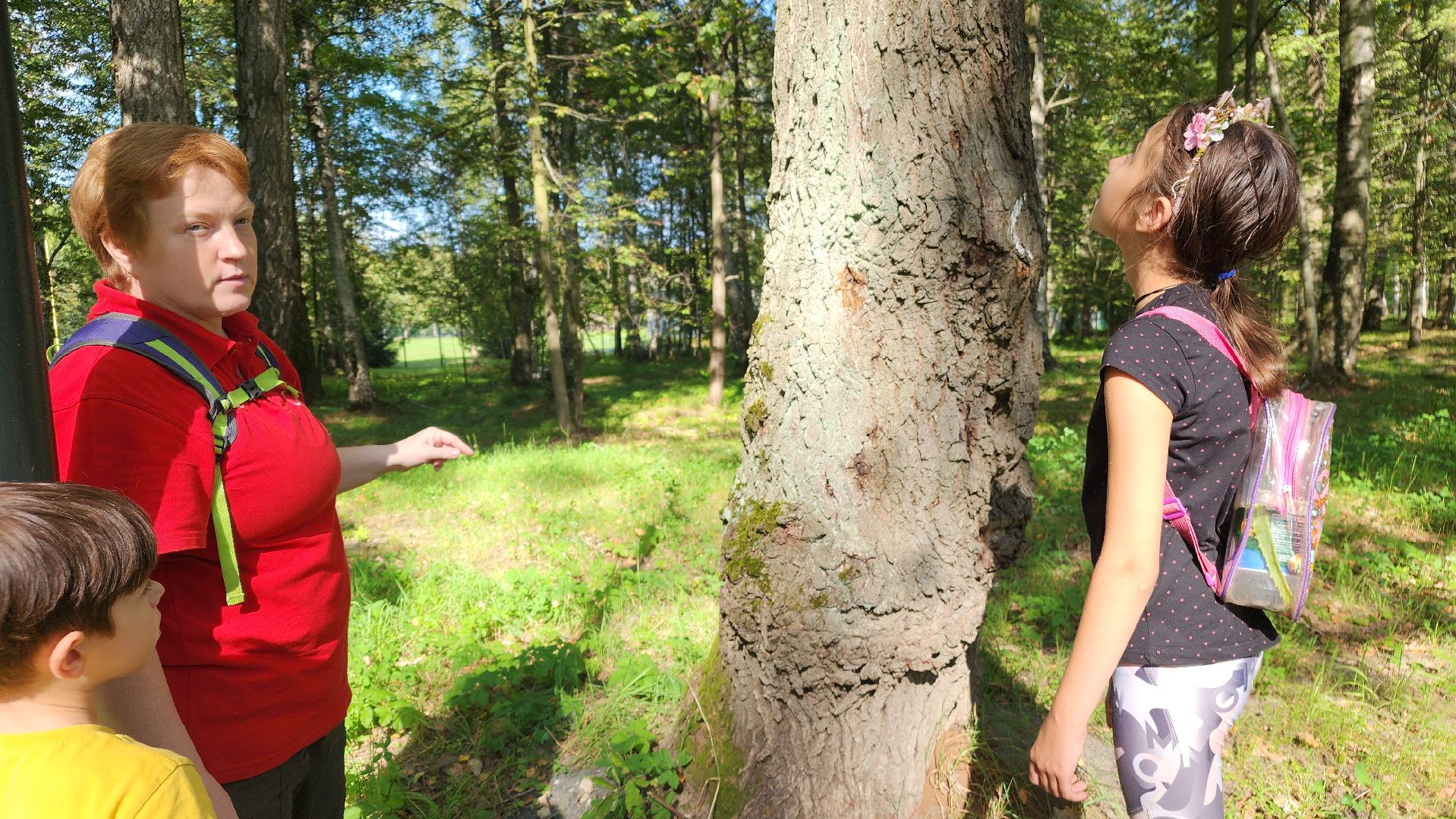 ступино, образование подмосковья, центр островок, дополнительное образование,