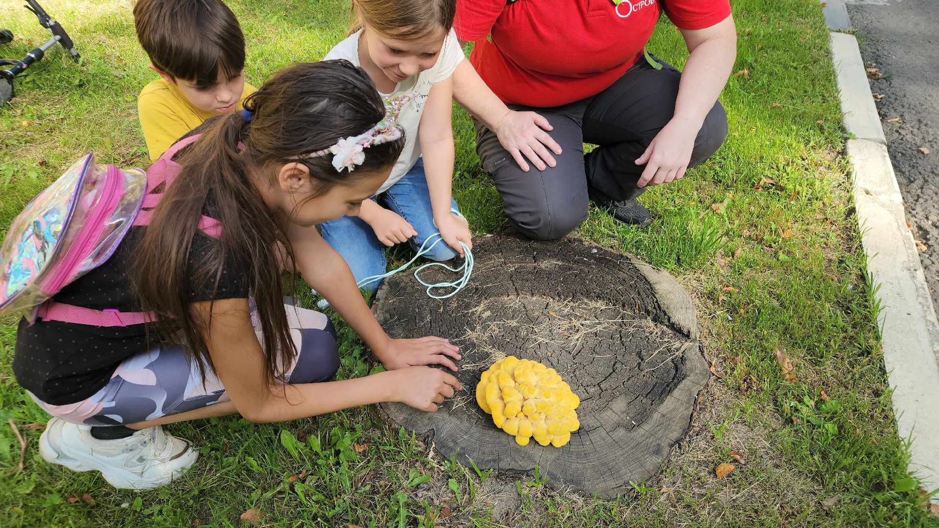 ступино, образование подмосковья, центр островок, дополнительное образование,