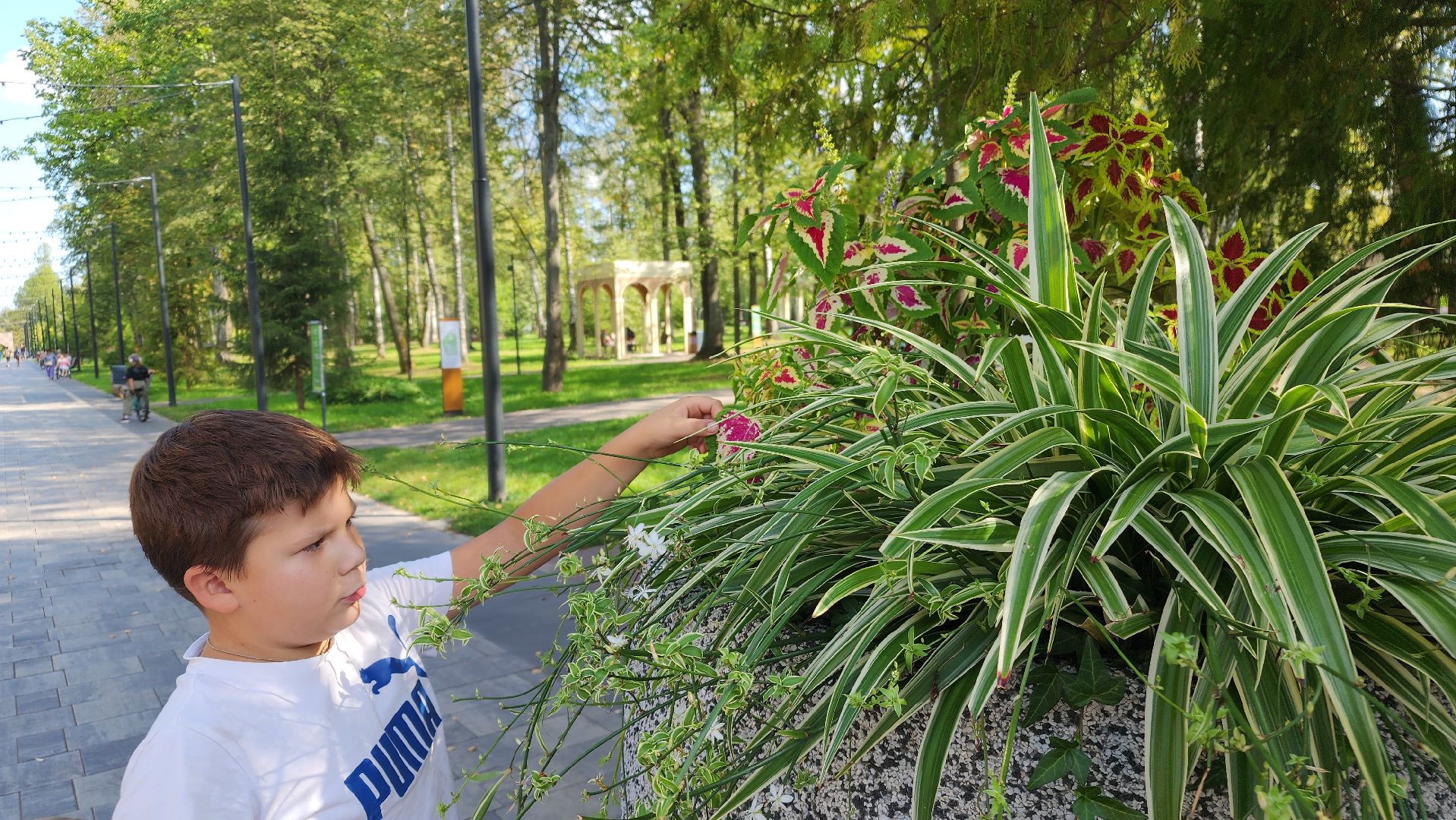ступино, образование подмосковья, центр островок, дополнительное образование,