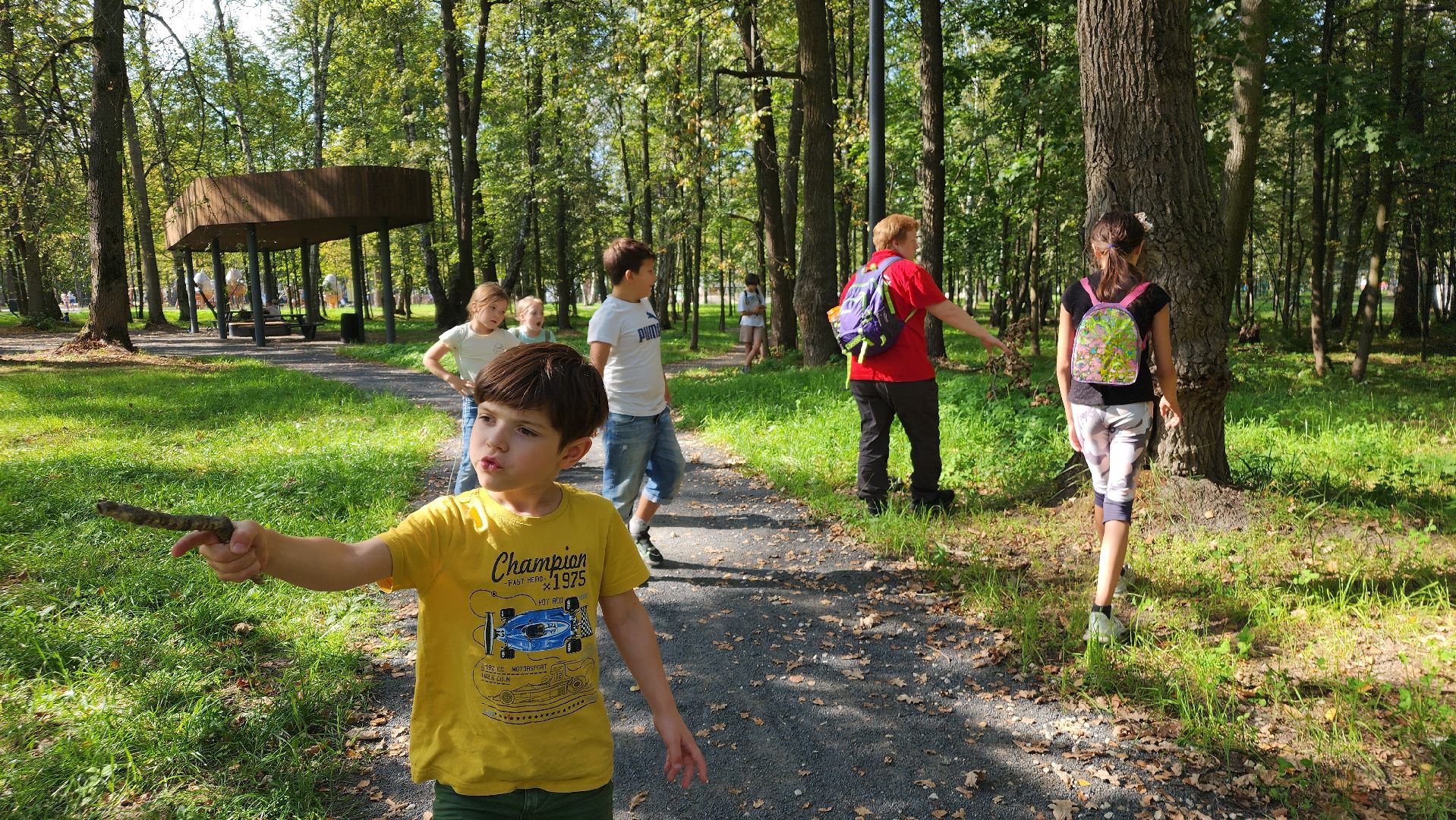 ступино, образование подмосковья, центр островок, дополнительное образование,