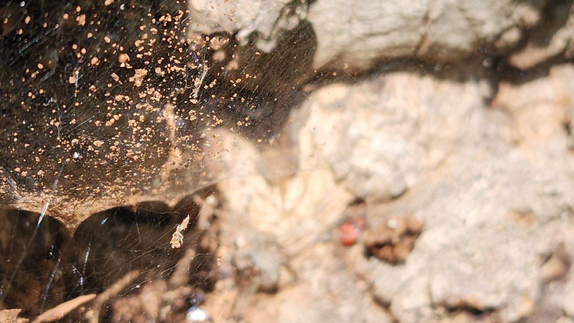 ступино, образование подмосковья, центр островок, дополнительное образование,