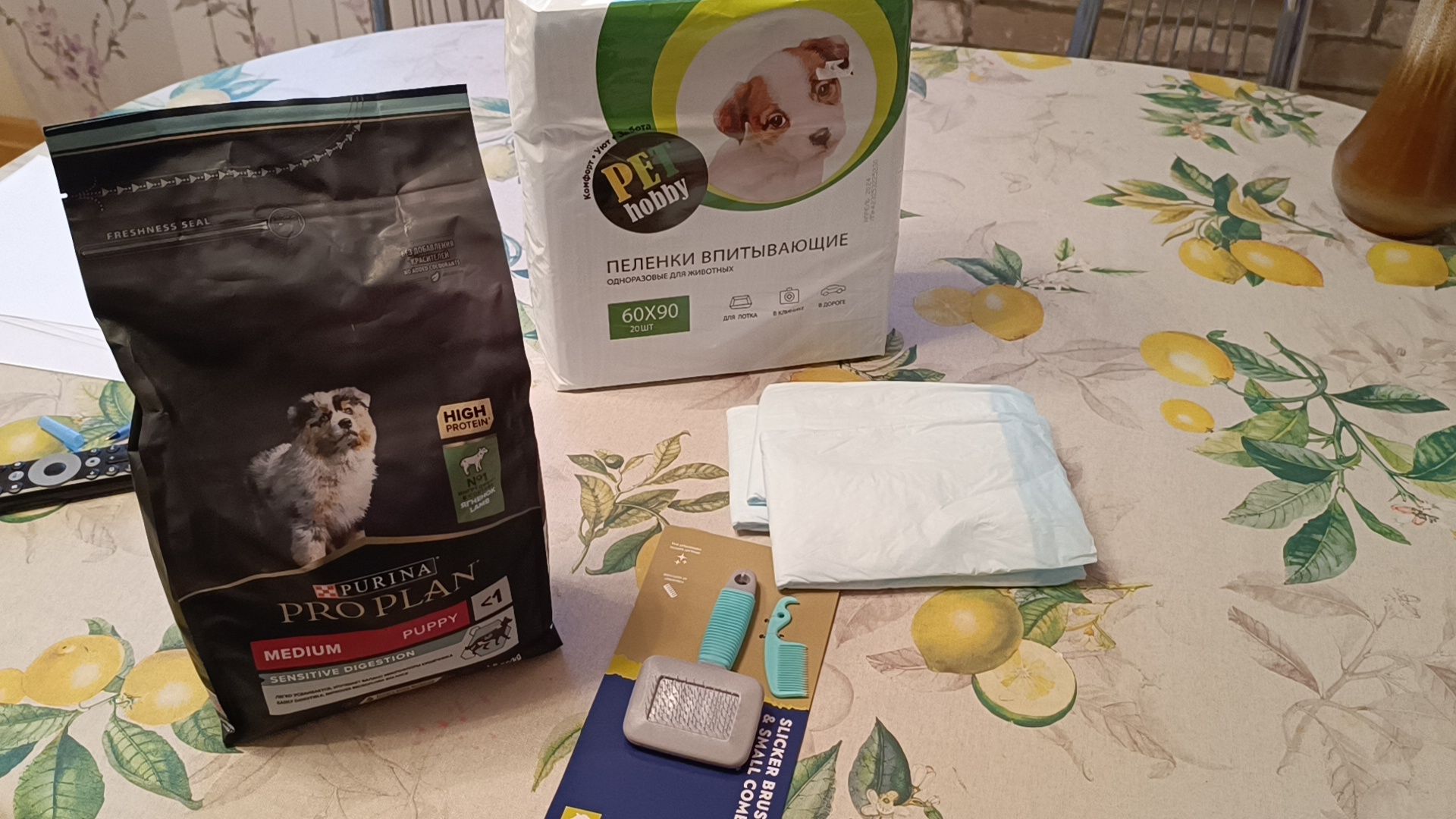 собака, лобня, президент рф,