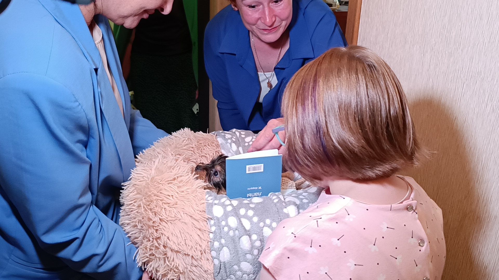 собака, лобня, президент рф,