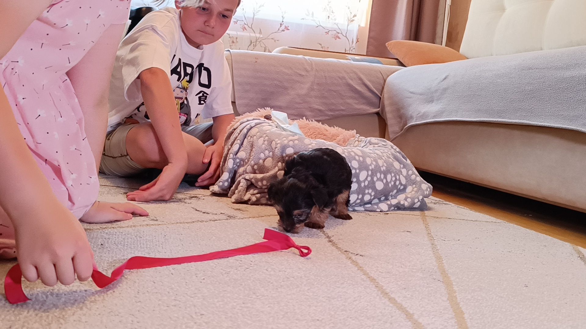 собака, лобня, президент рф,