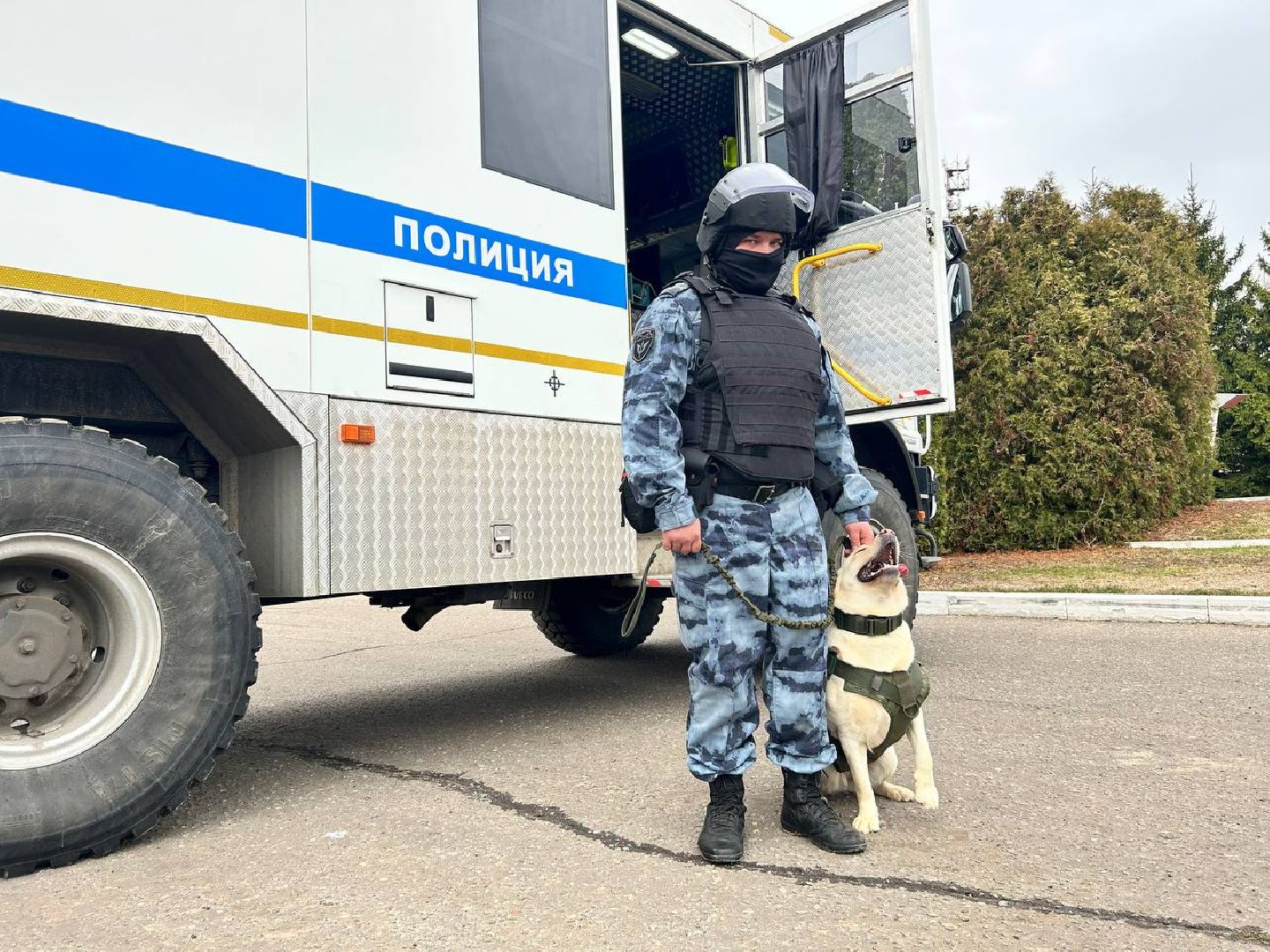 Подольск, омон, кинологи, служба, собаки