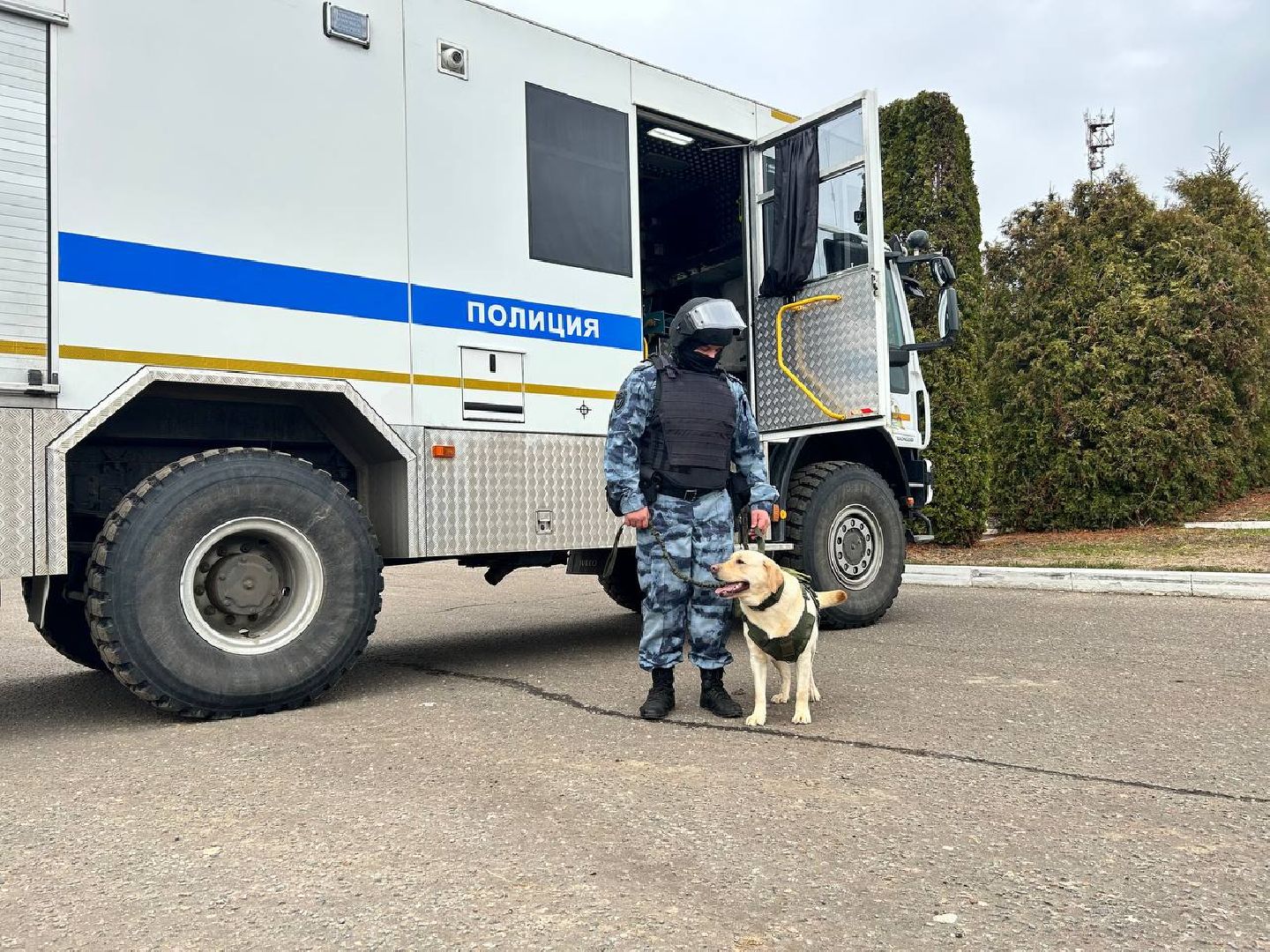 Подольск, омон, кинологи, служба, собаки