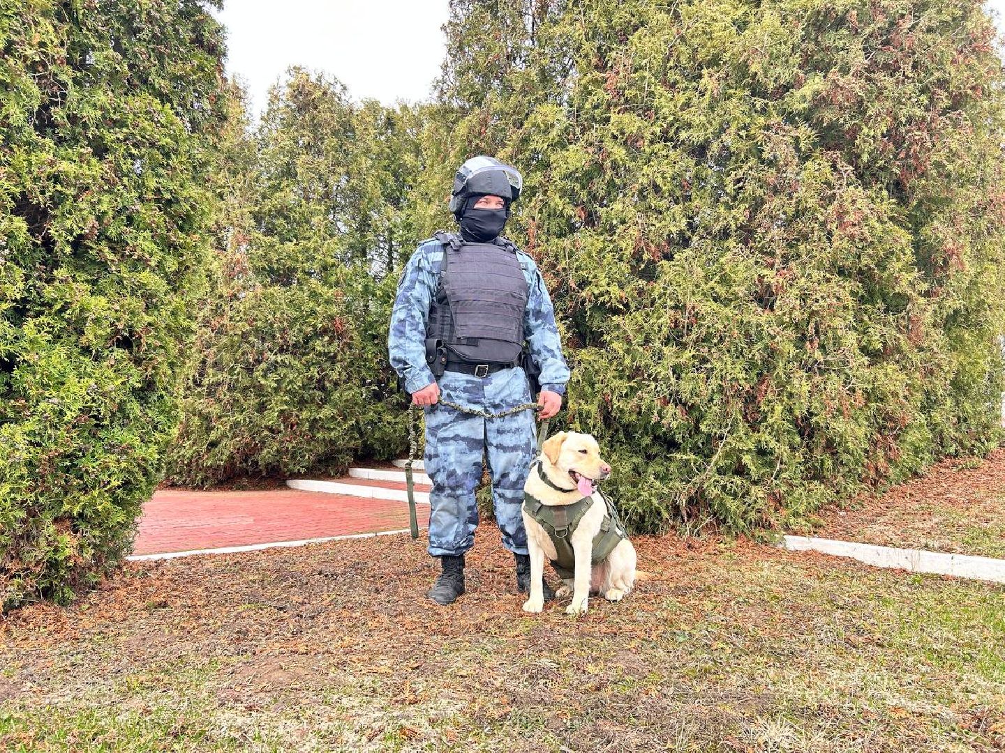 Подольск, омон, кинологи, служба, собаки