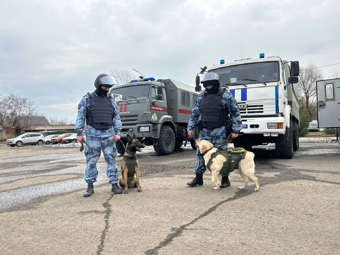 Подольск, омон, кинологи, служба, собаки