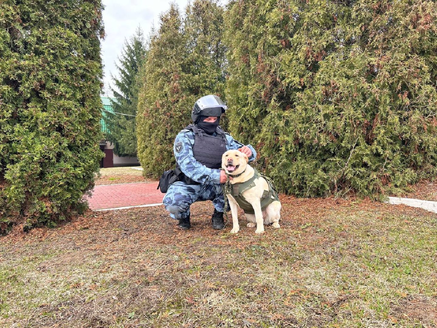 Подольск, омон, кинологи, служба, собаки