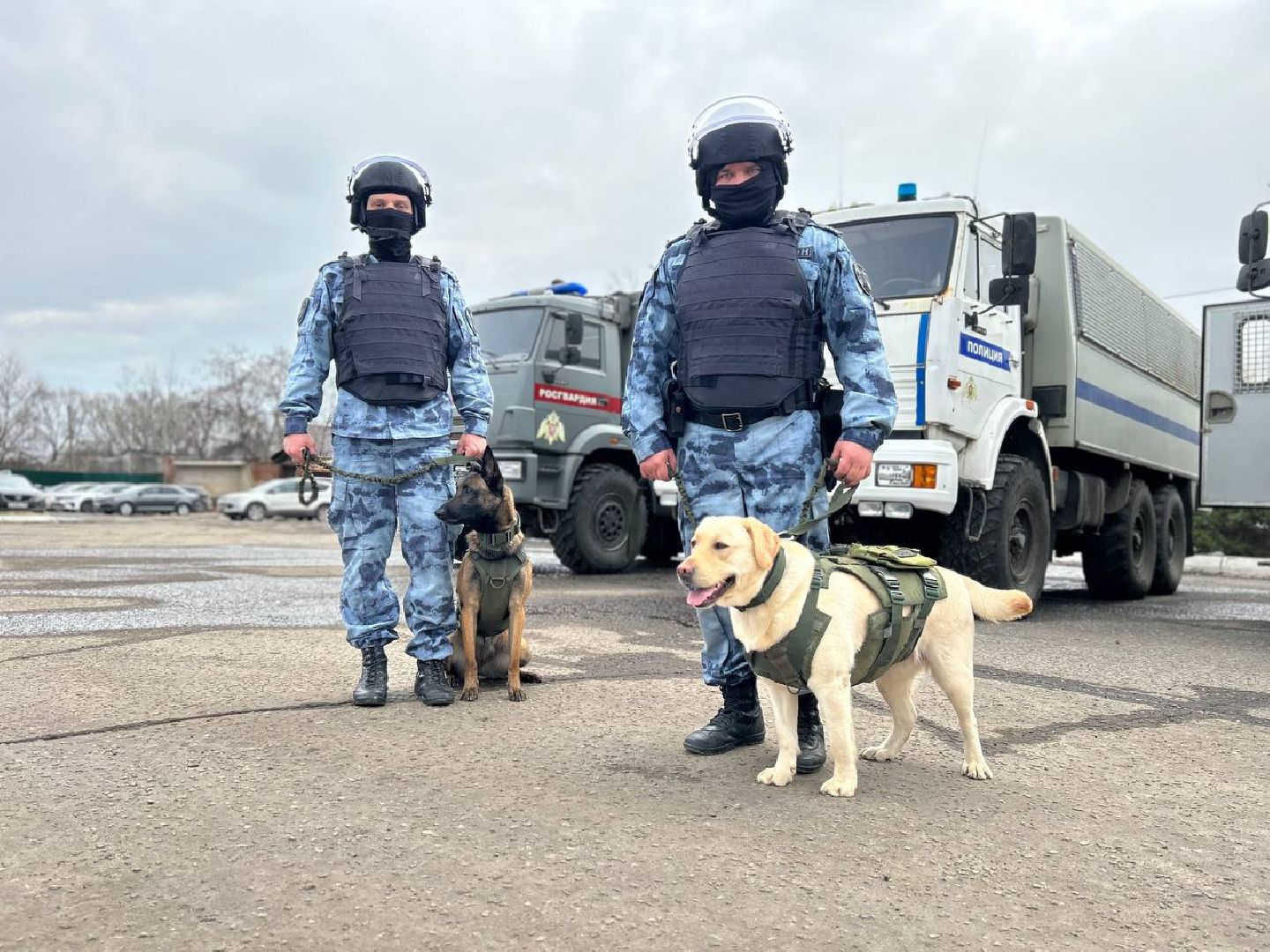 Подольск, омон, кинологи, служба, собаки
