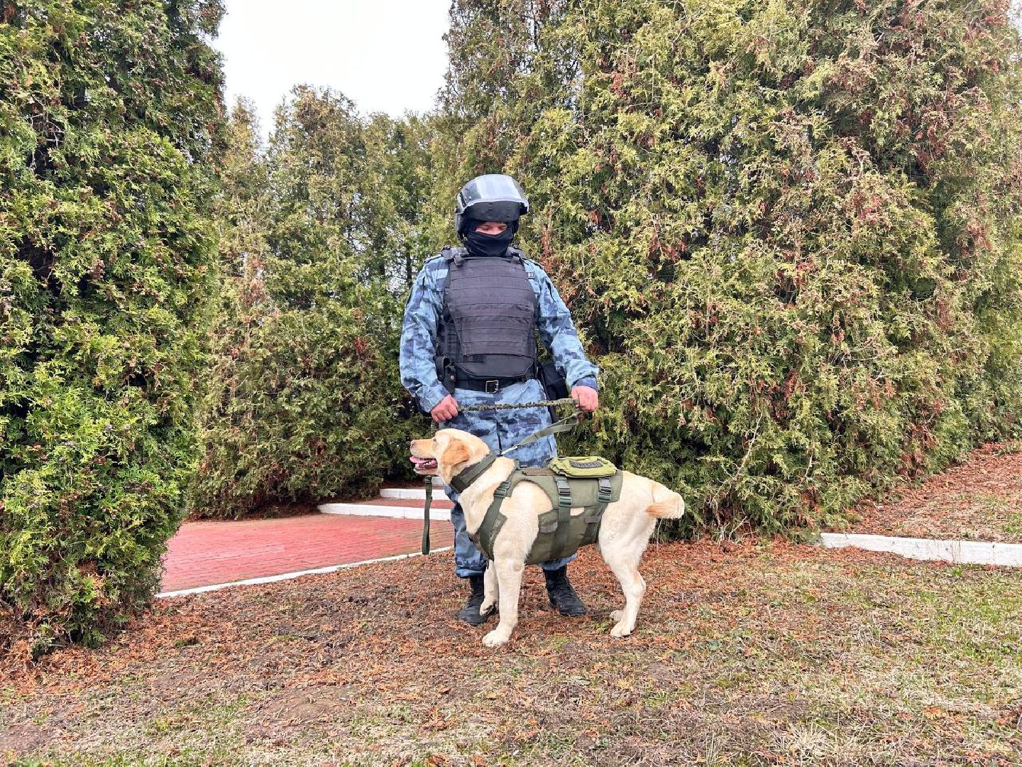 Подольск, омон, кинологи, служба, собаки