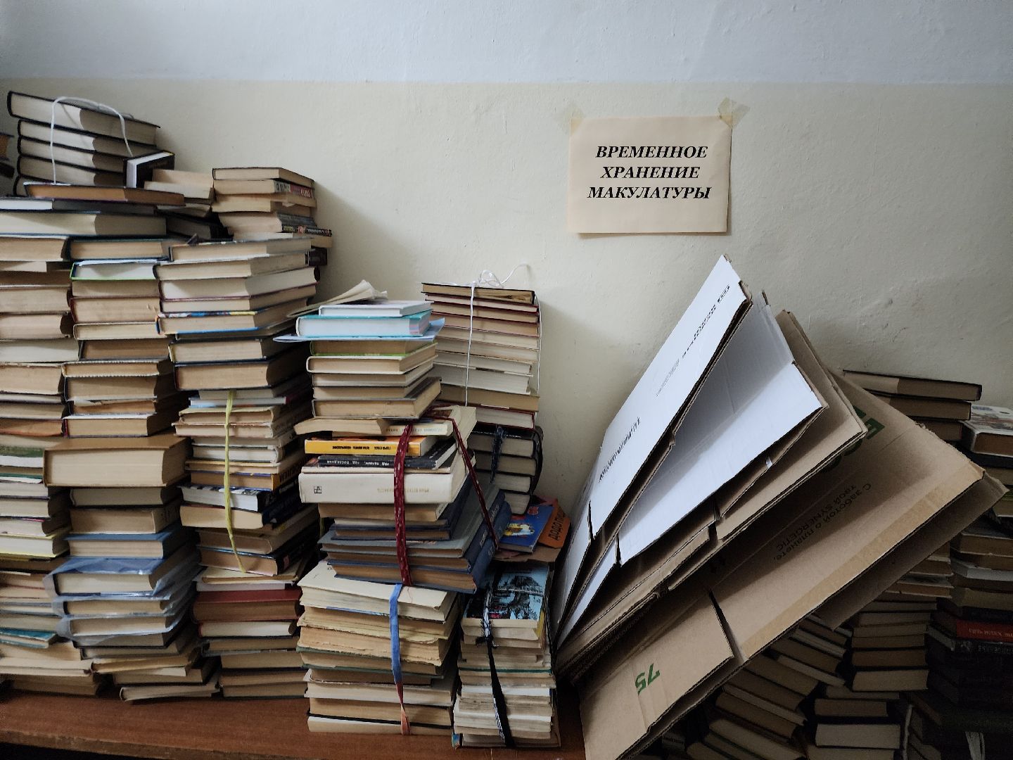 ногинск, жители, общество, благотворительная акция, библиотека, волонтер,