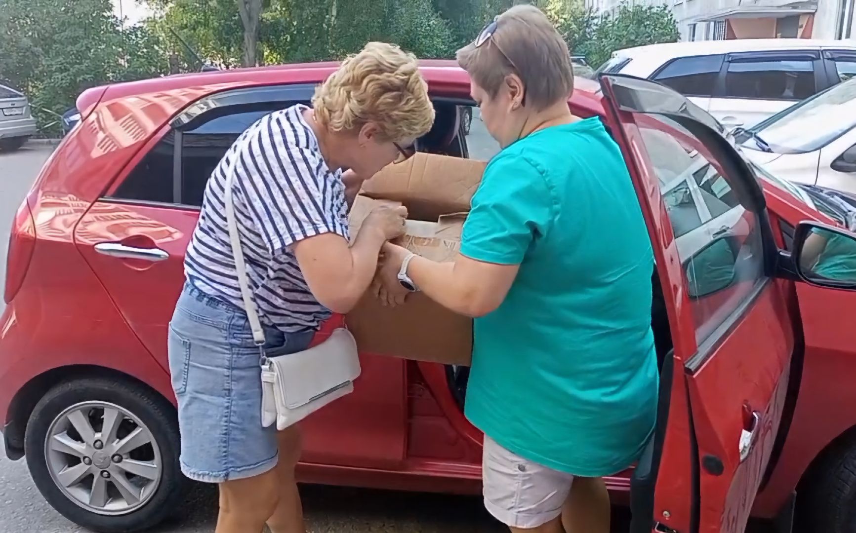 ногинск, жители, общество, благотворительная акция, библиотека, волонтер,