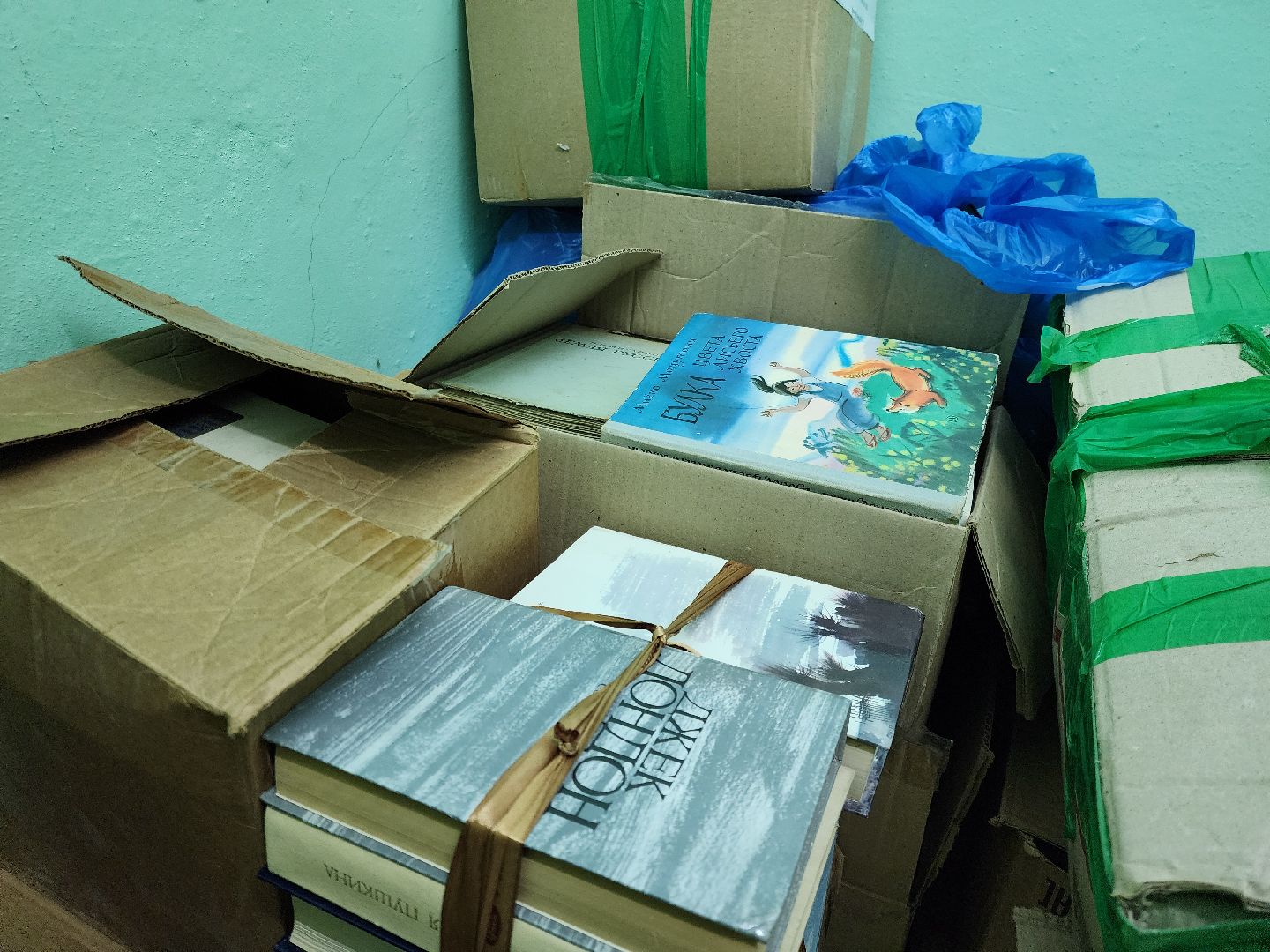 ногинск, жители, общество, благотворительная акция, библиотека, волонтер,