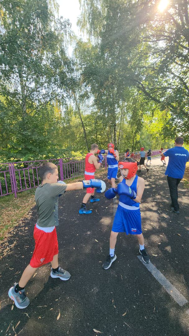 долгопрудный, спортивная школа, бокс, Проект Старший брат,