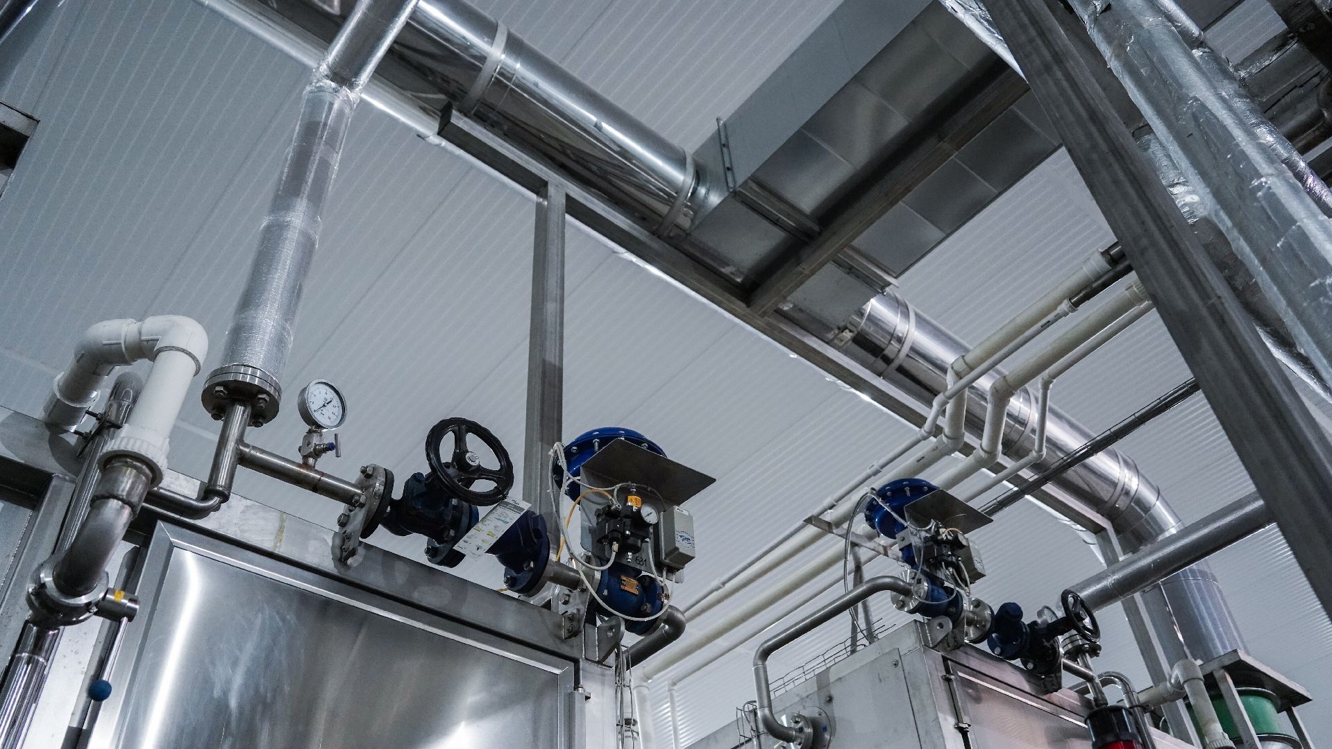 Лека-фри, картофель фри, производство, Большая Шатура,