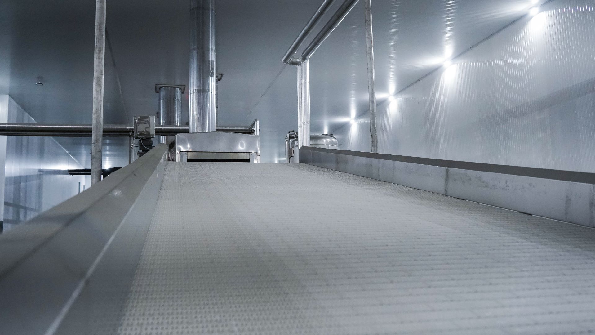 Лека-фри, картофель фри, производство, Большая Шатура,