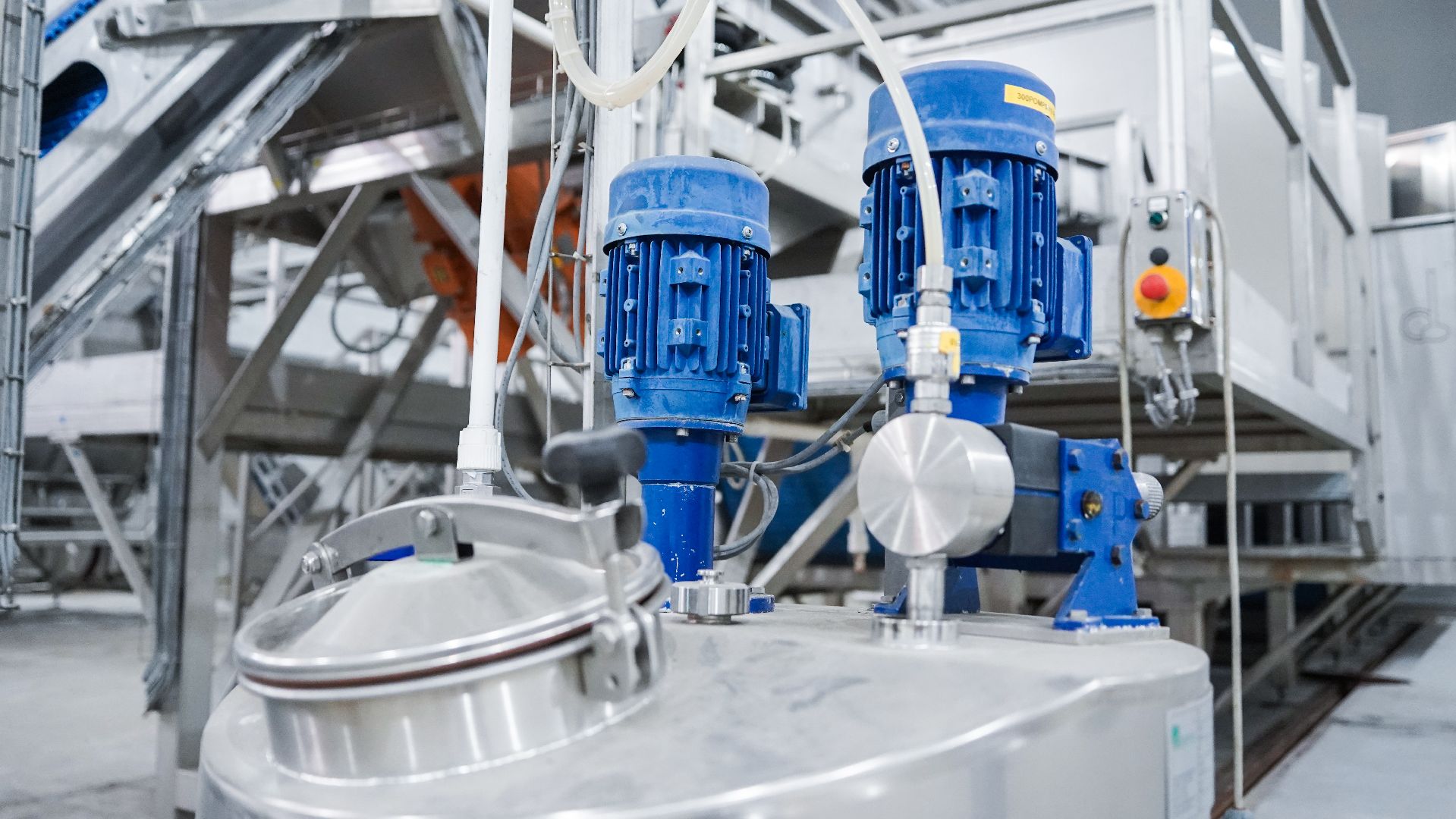 Лека-фри, картофель фри, производство, Большая Шатура,